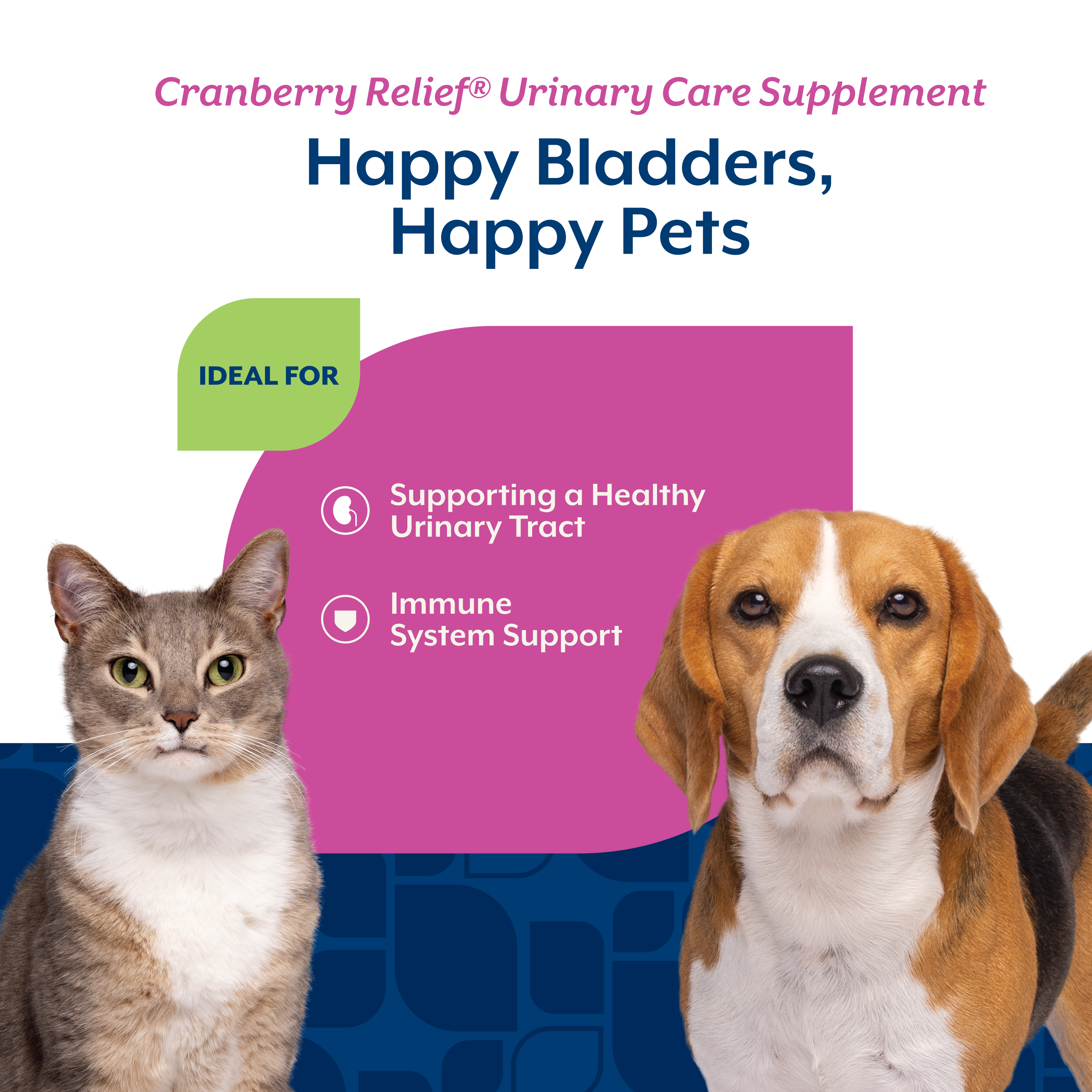Chart showing Cranberry Relief supports a healthy urinary tract and the immune system