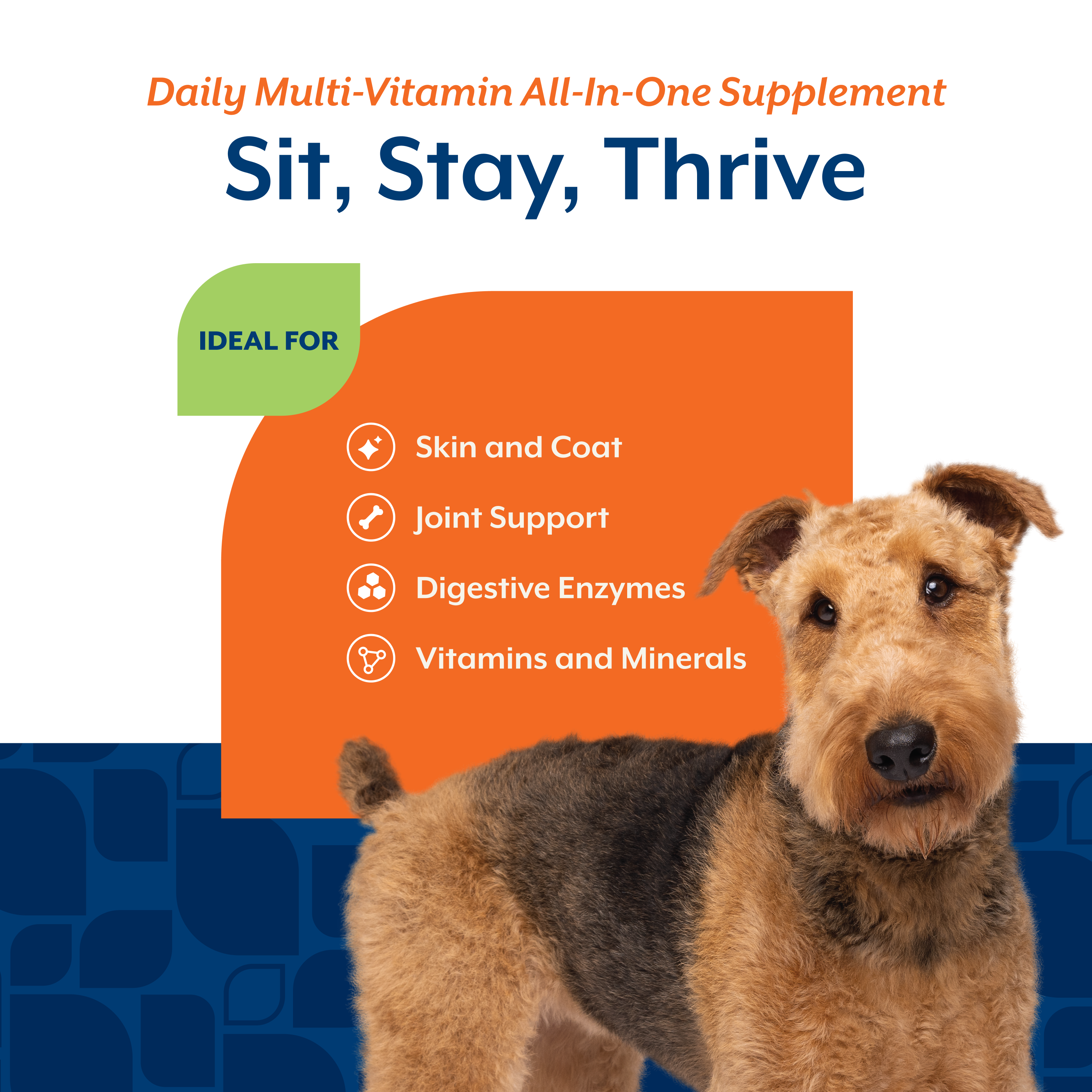Sit stay thrive panel listing skin and coat, joint support, digestive enzymes, and vitamins and minerals
