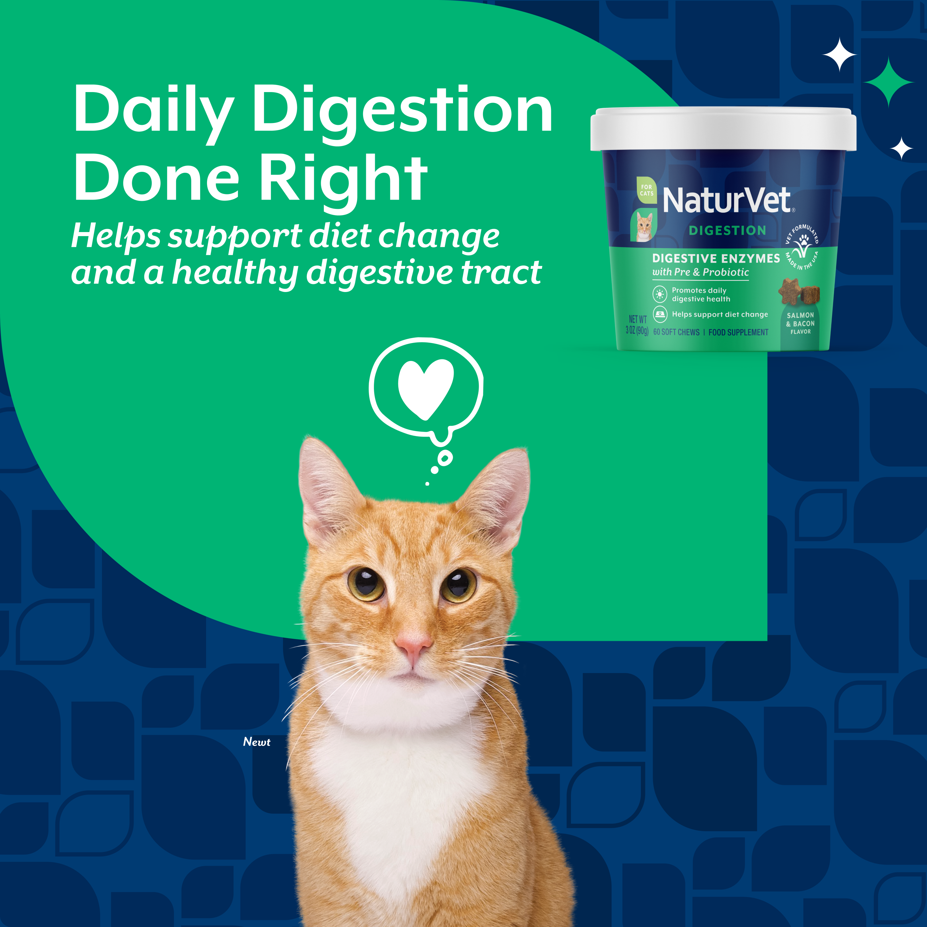 Daily digestion done right panel showing the digestive enzymes container and a cat