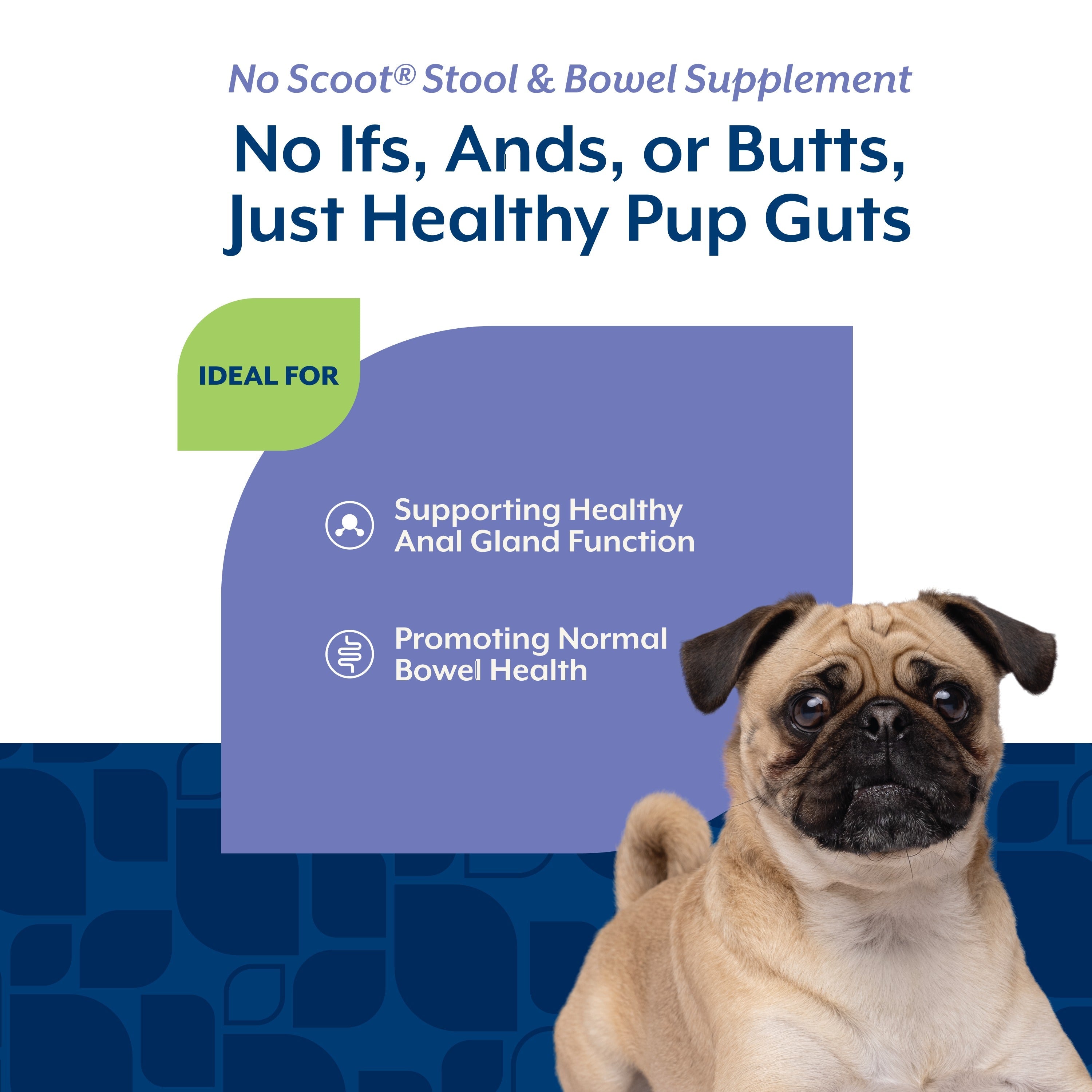 NaturVet No Scoot Powder for dogs — ideal for supporting healthy anal gland function and normal bowel health
