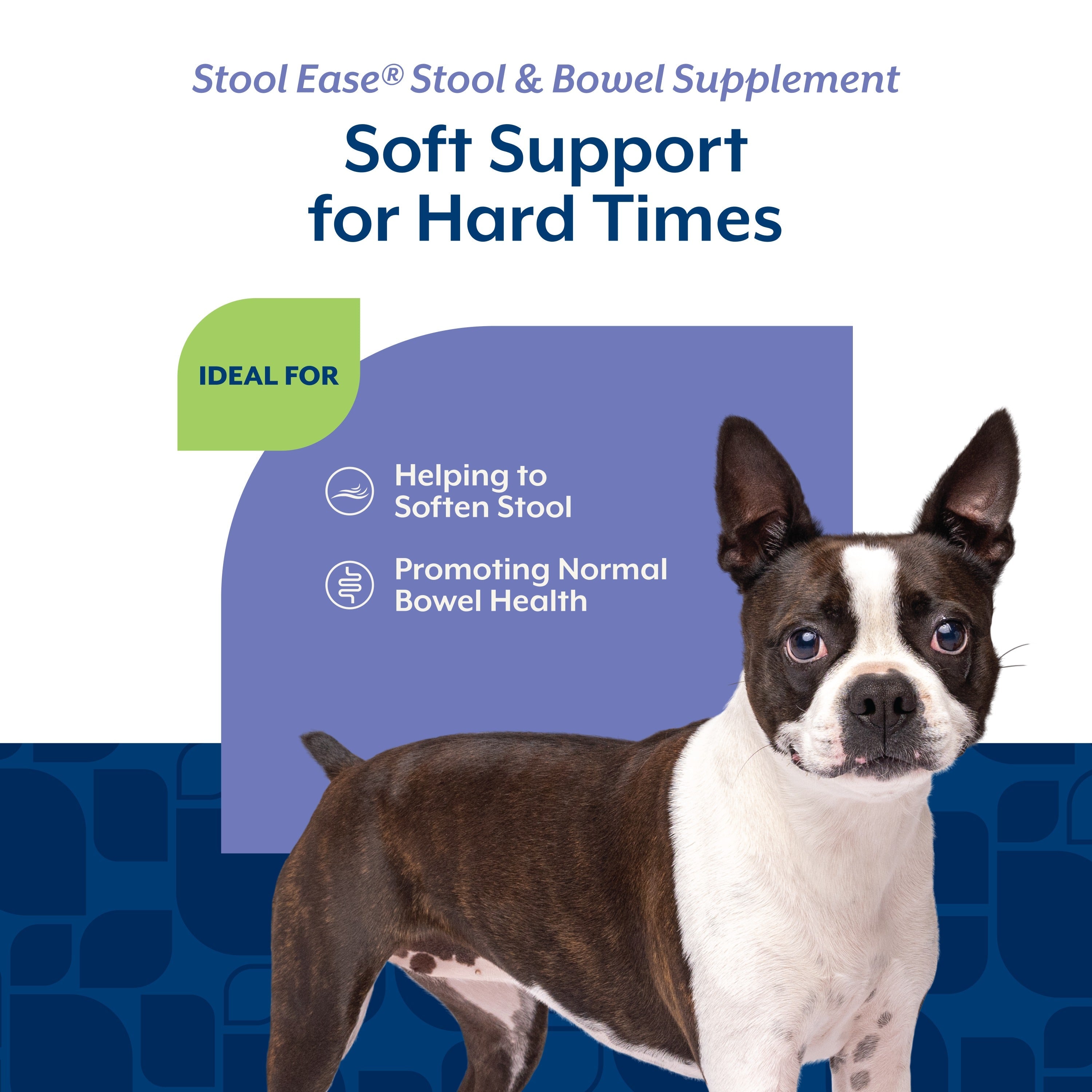NaturVet Stool Ease Soft Chews for dogs — ideal for helping to soften stool and promoting normal bowel health