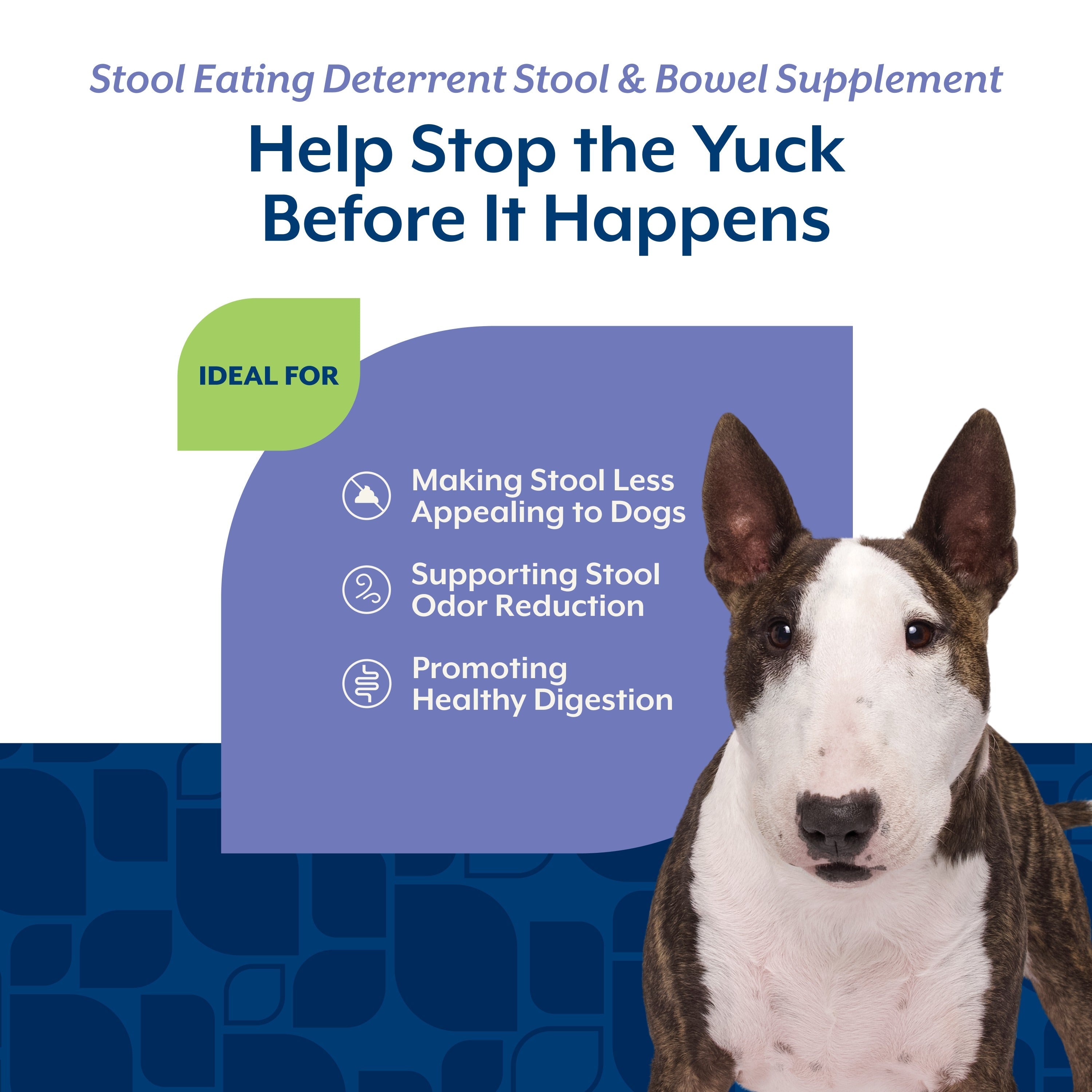 NaturVet Coprophagia Stool Eating Deterrent Chewable Tablets for dogs — ideal for making stool less appealing, supporting stool odor reduction, and promoting healthy digestion
