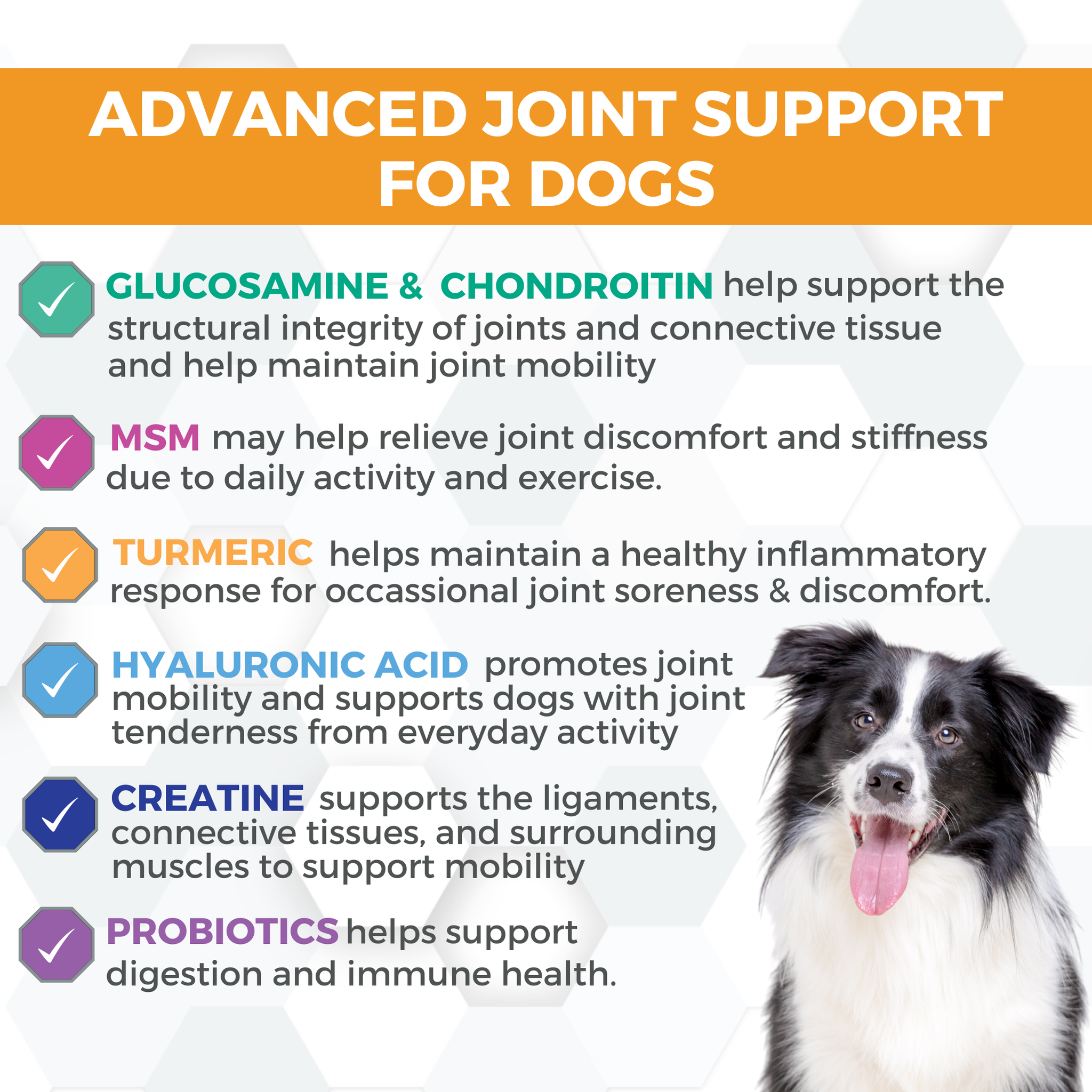 Glucosamine, chondroitin, MSM, turmeric, hyaluronic acid and creatine support joints and mobility