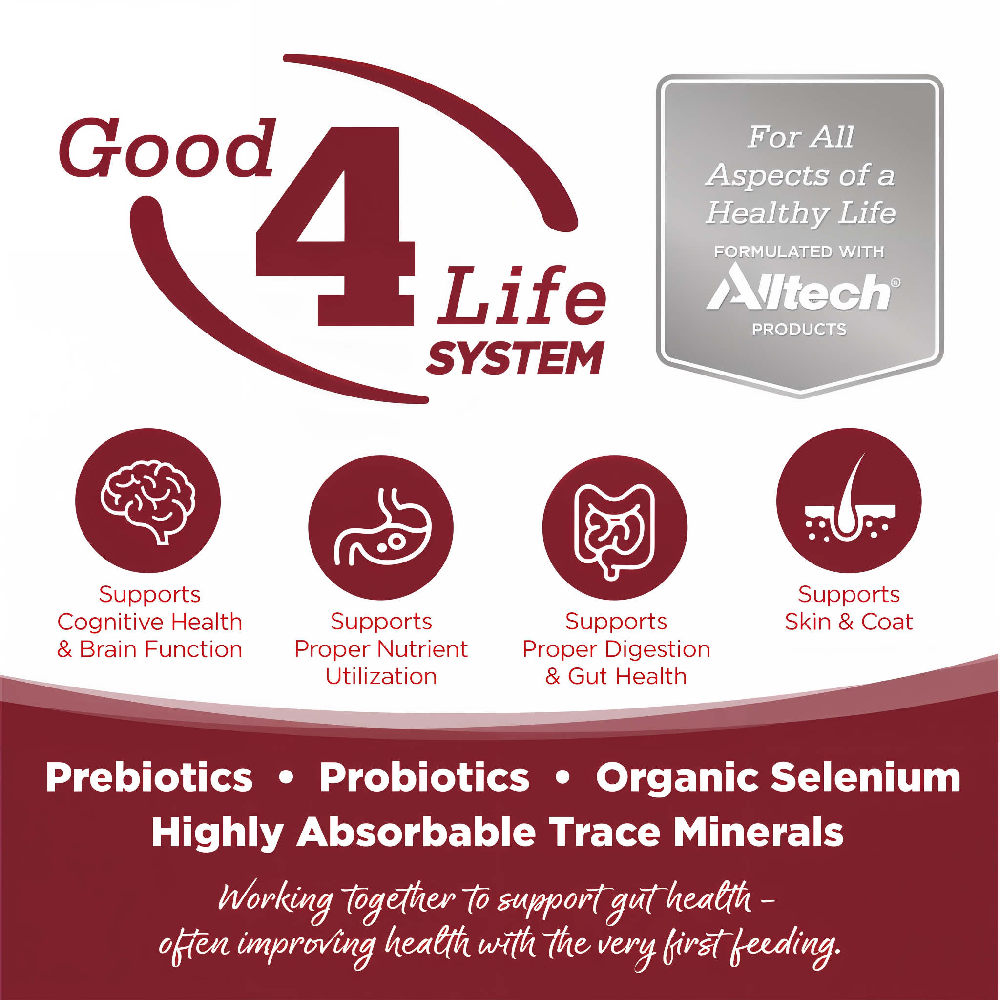 Good 4 Life: proprietary prebiotic and probiotic system for gut health