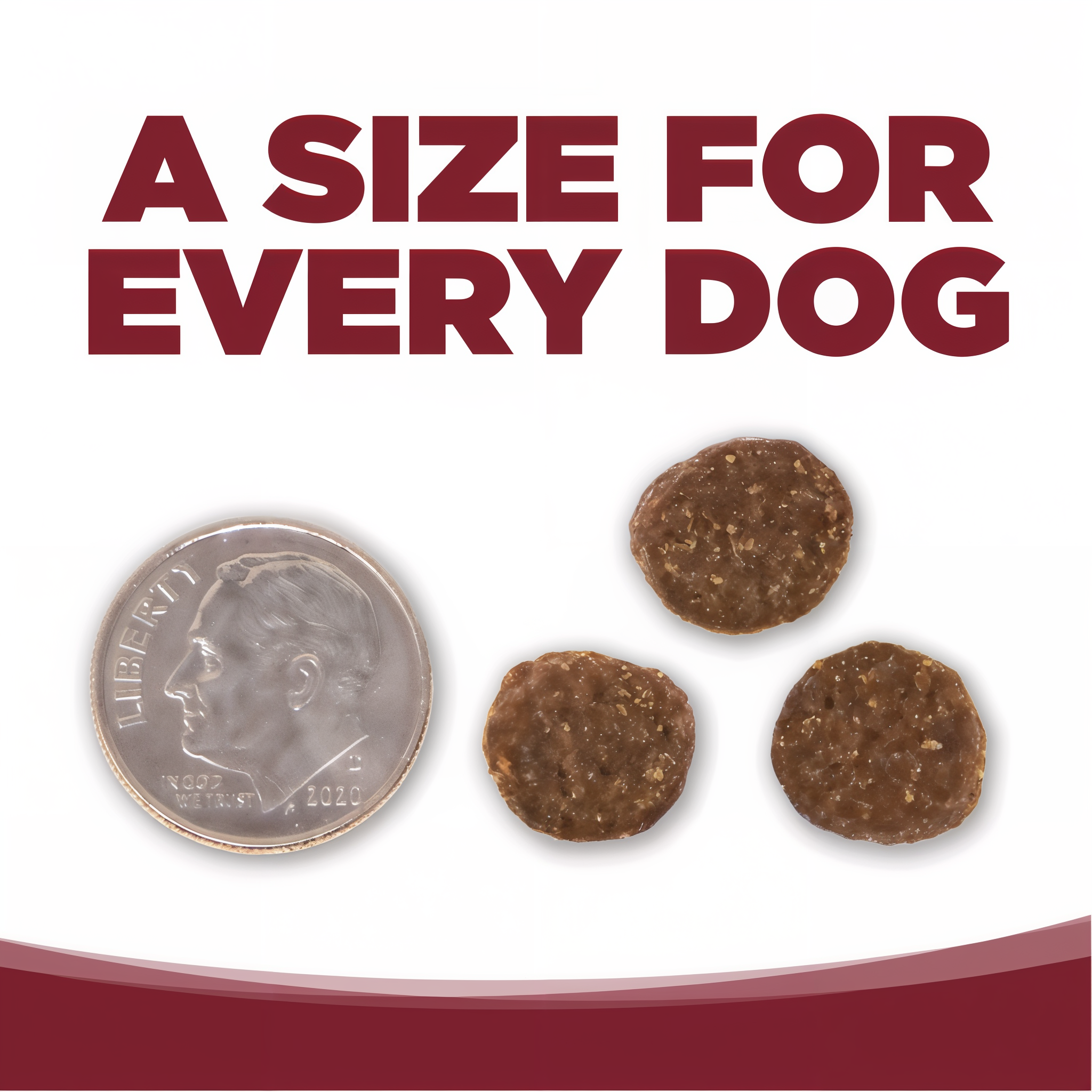 Kibble size shown next to a penny for scale