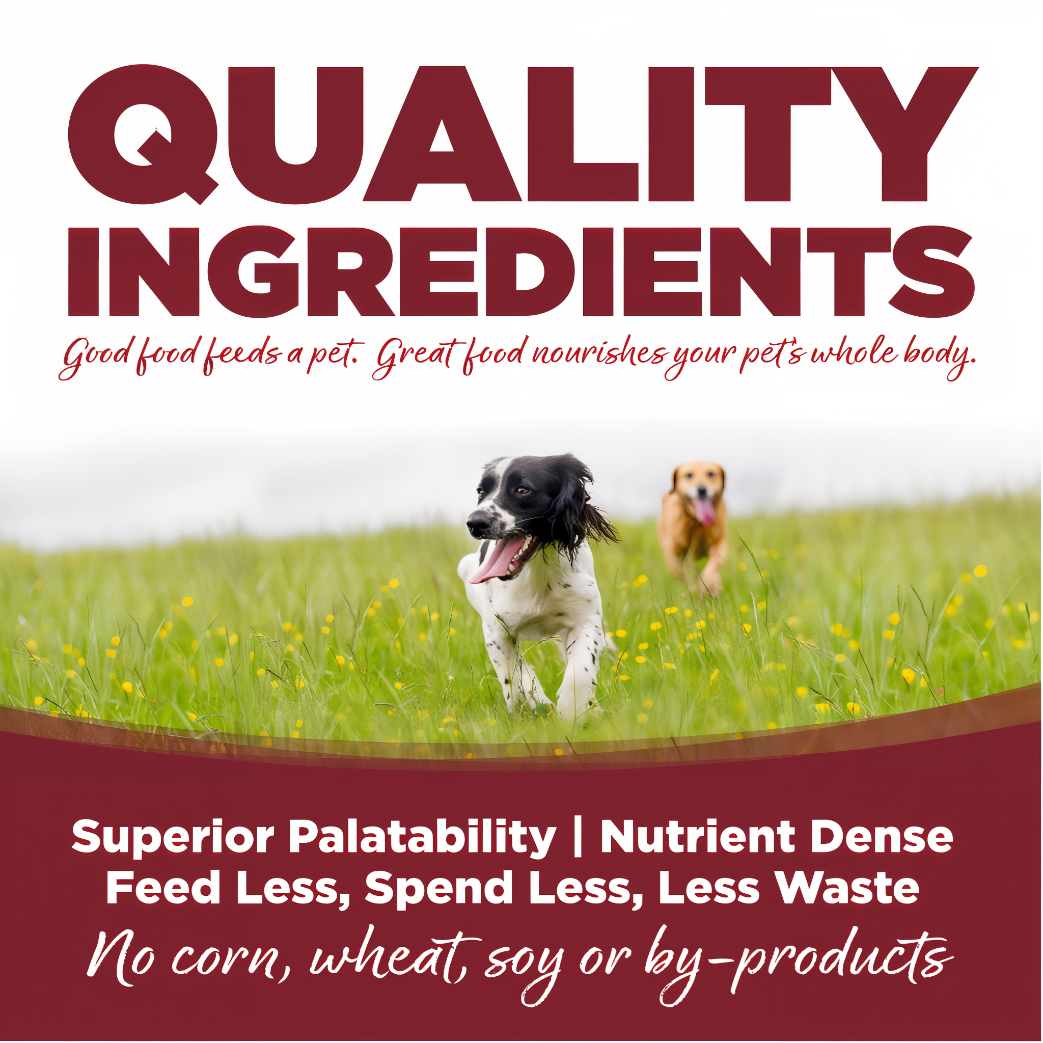 Quality ingredients for superior palatability and digestibility