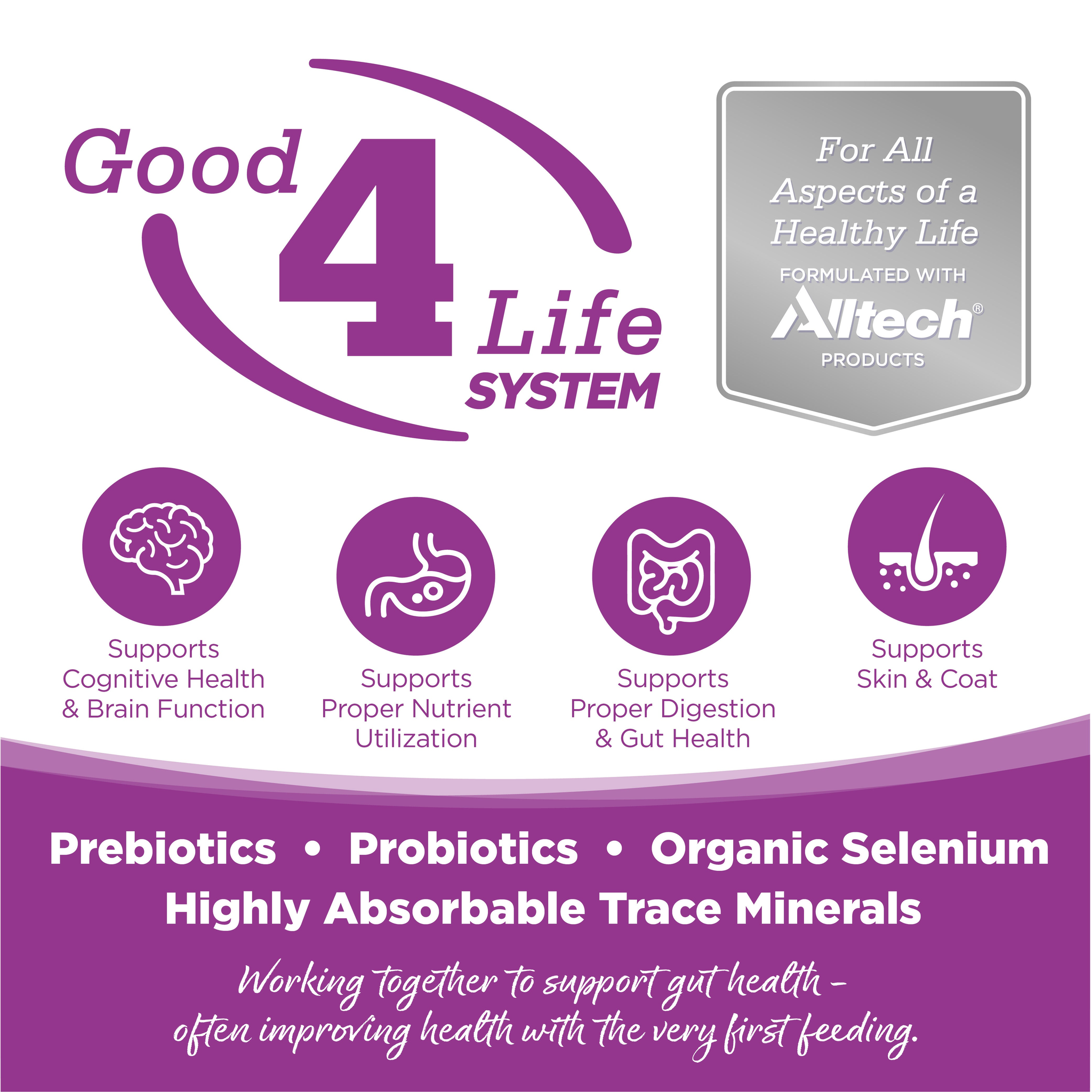 Good 4 Life: proprietary prebiotic and probiotic system for gut health