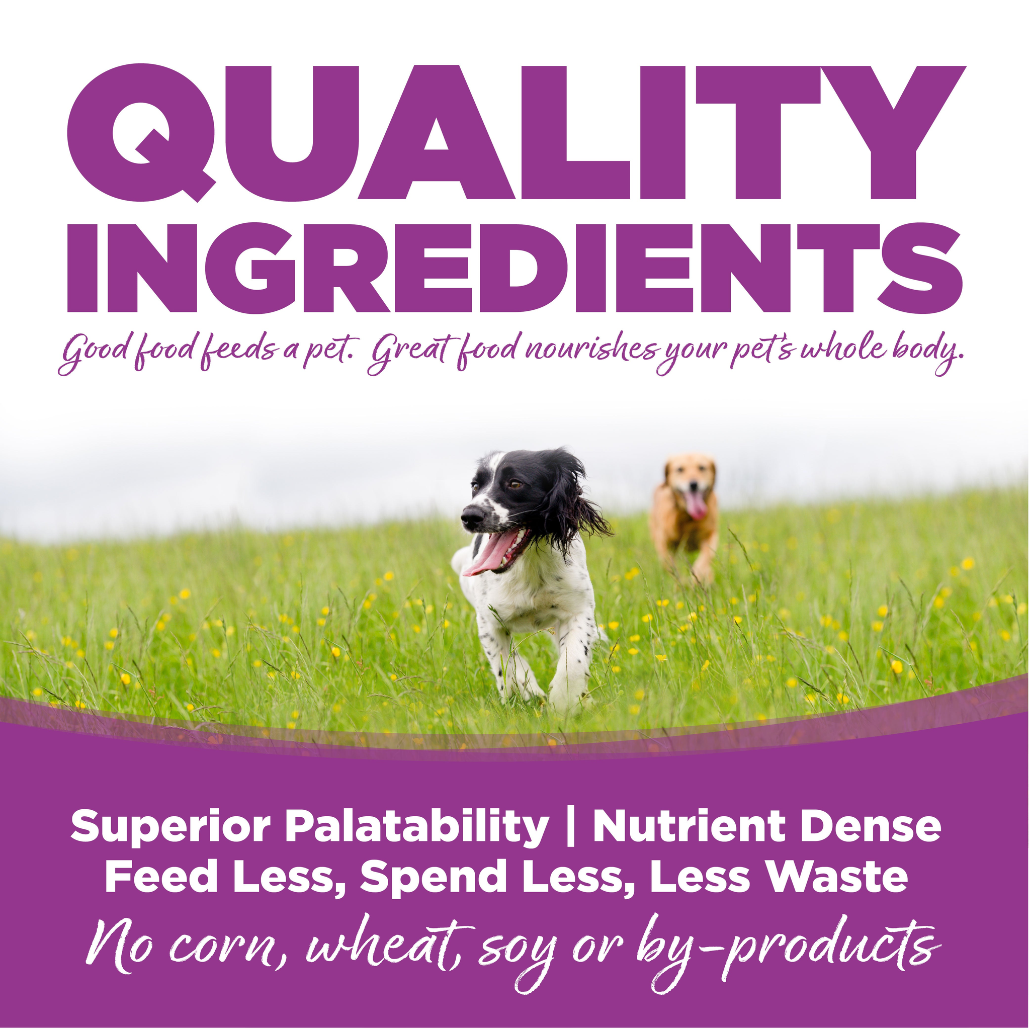 Quality ingredients for superior palatability and digestibility