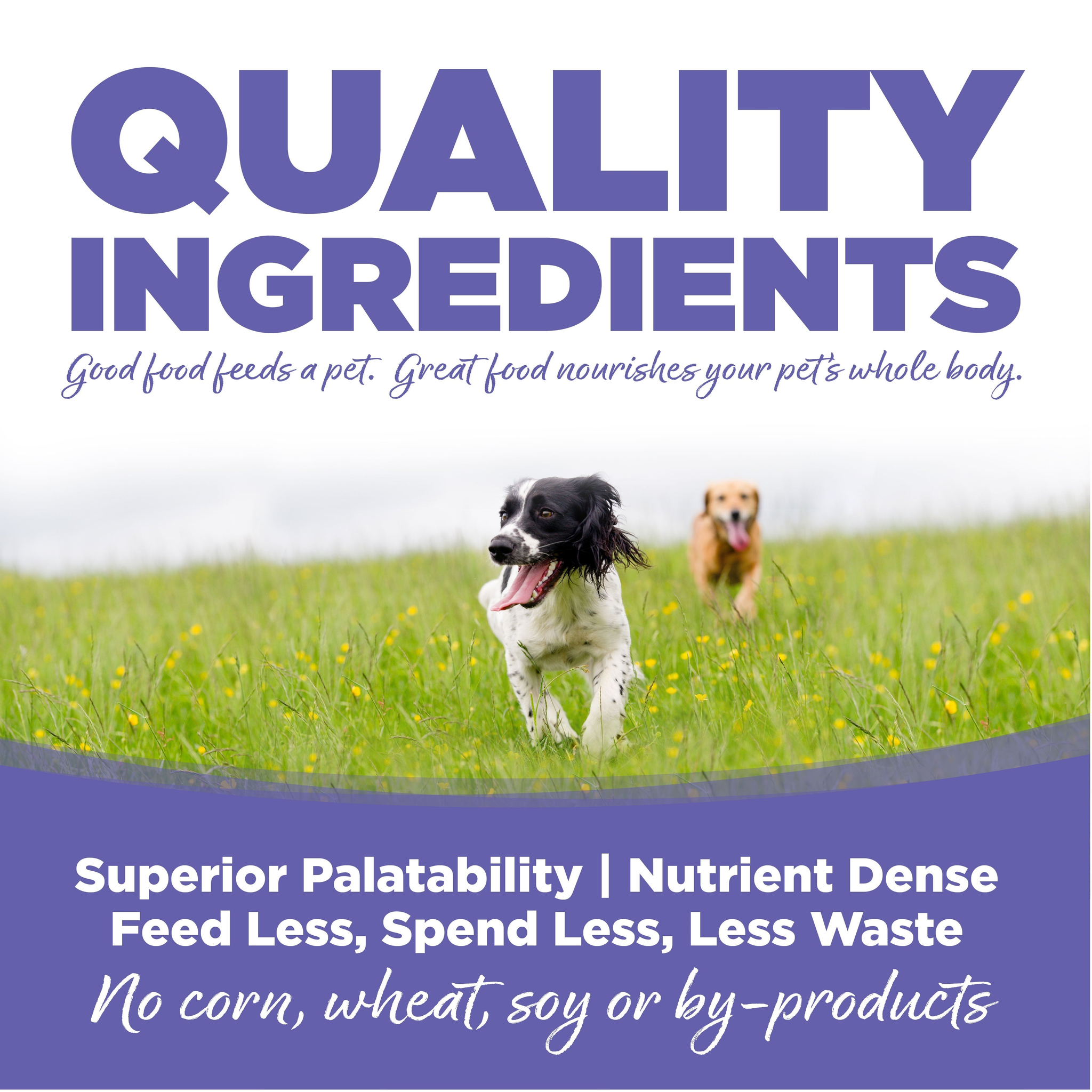 Quality ingredients for superior palatability and digestibility