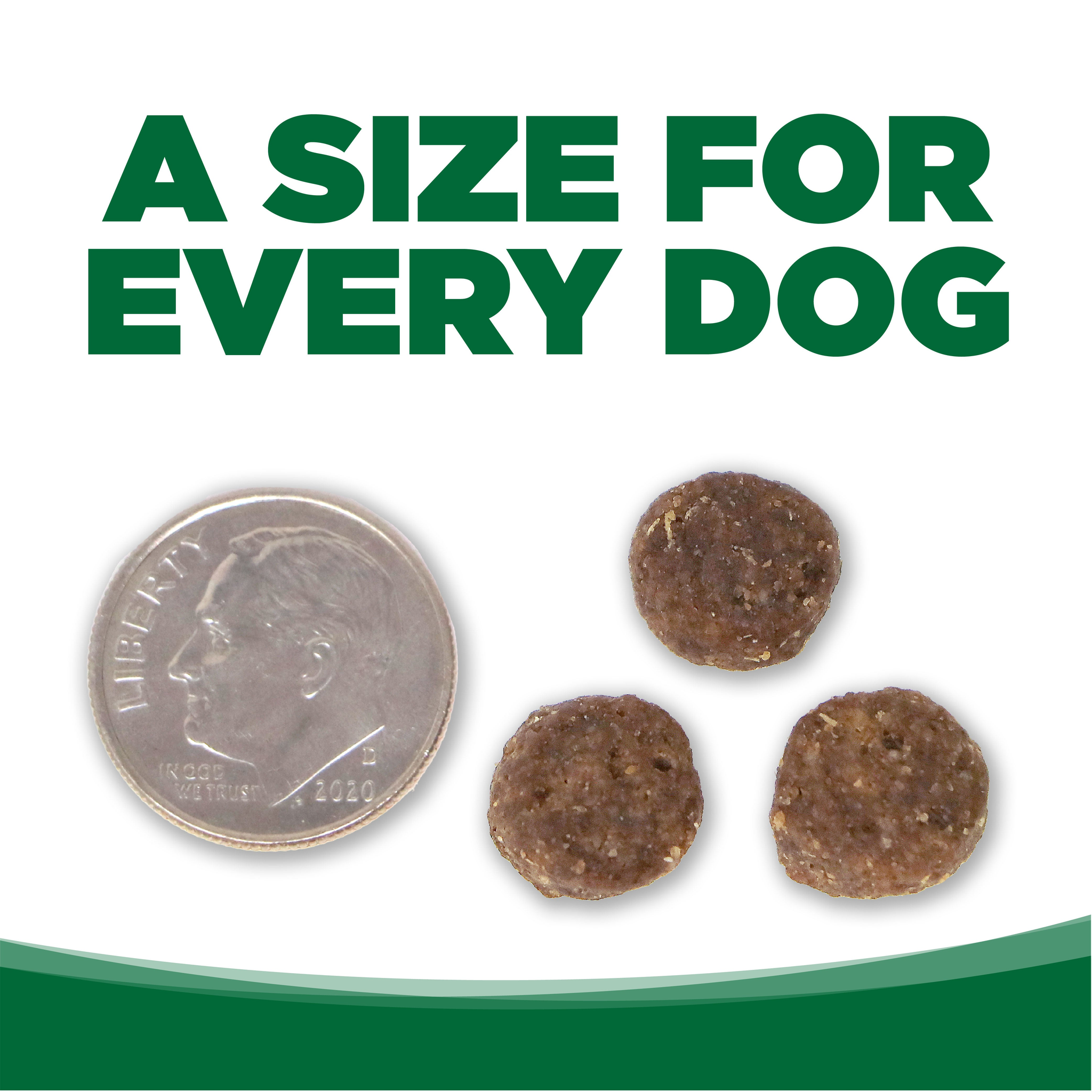 Kibble size shown next to a penny for scale