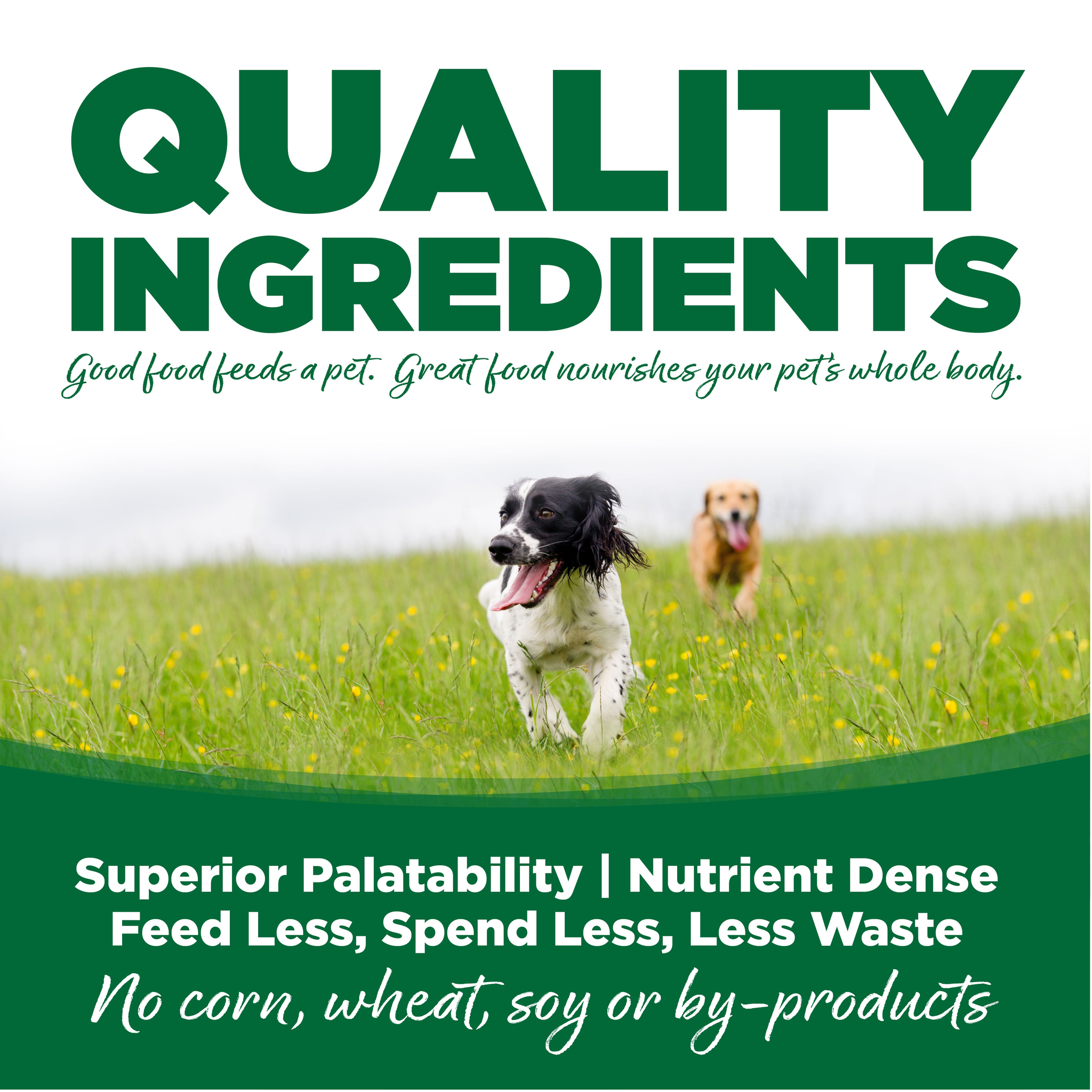 Quality ingredients for superior palatability and digestibility
