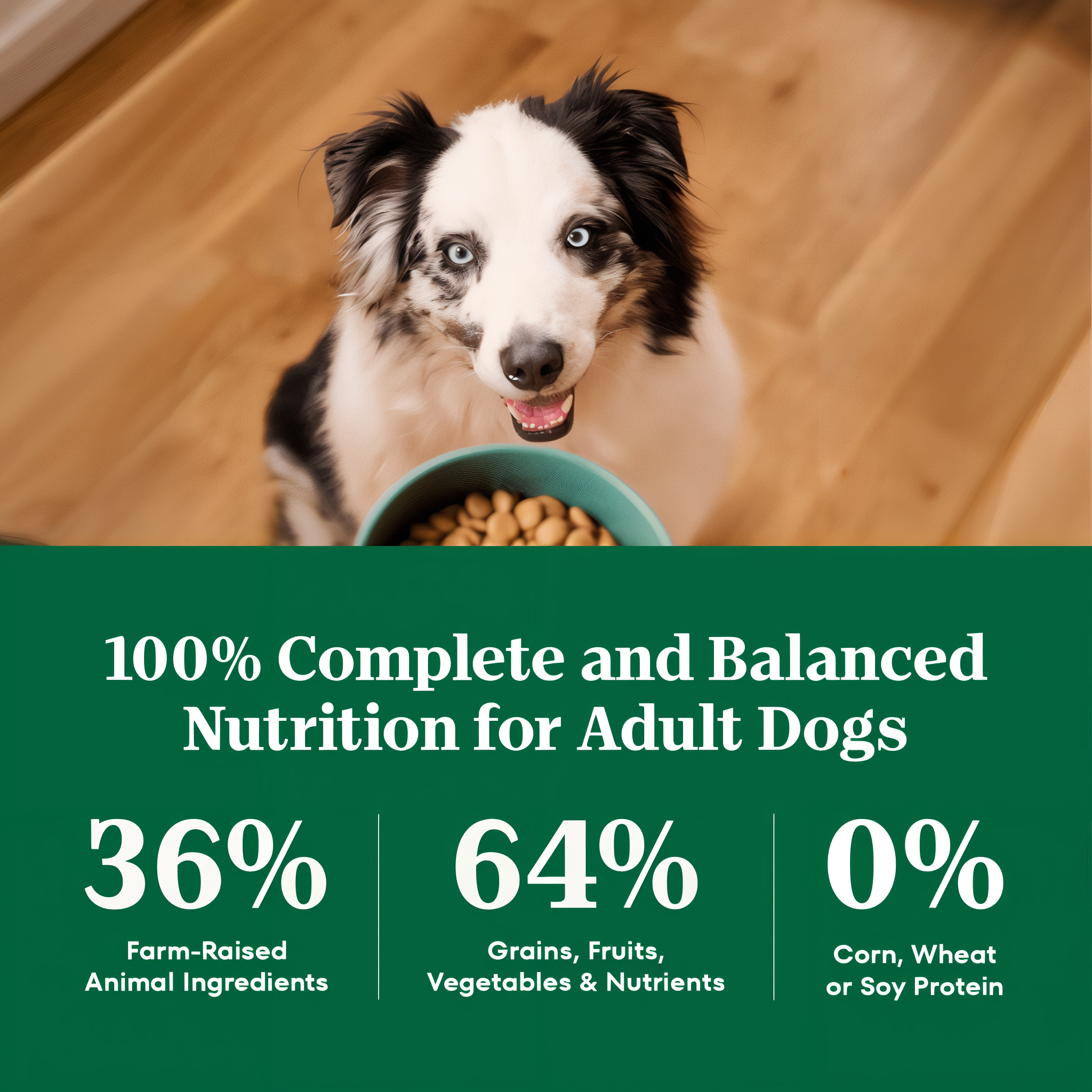 100 percent complete and balanced nutrition