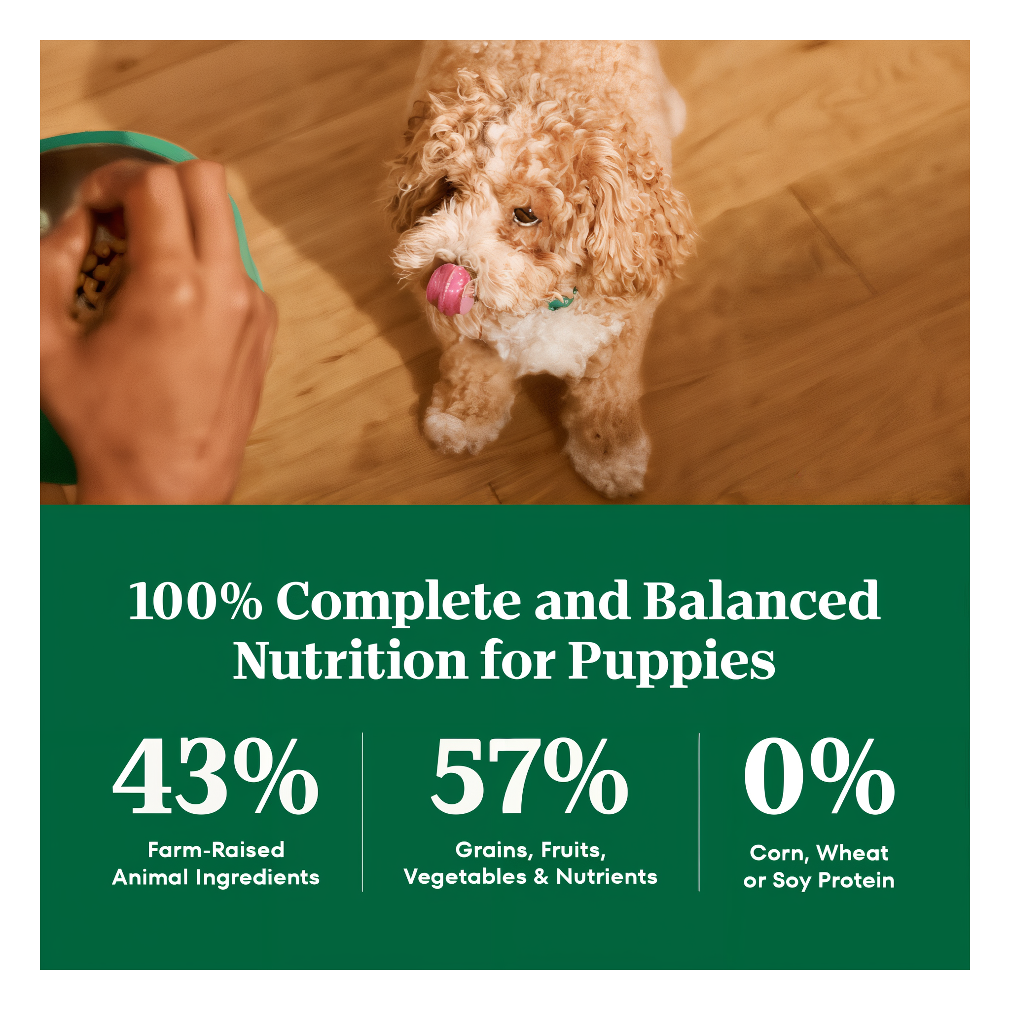 100% complete and balanced nutrition with farm-raised animal ingredients and 0% corn, wheat or soy protein