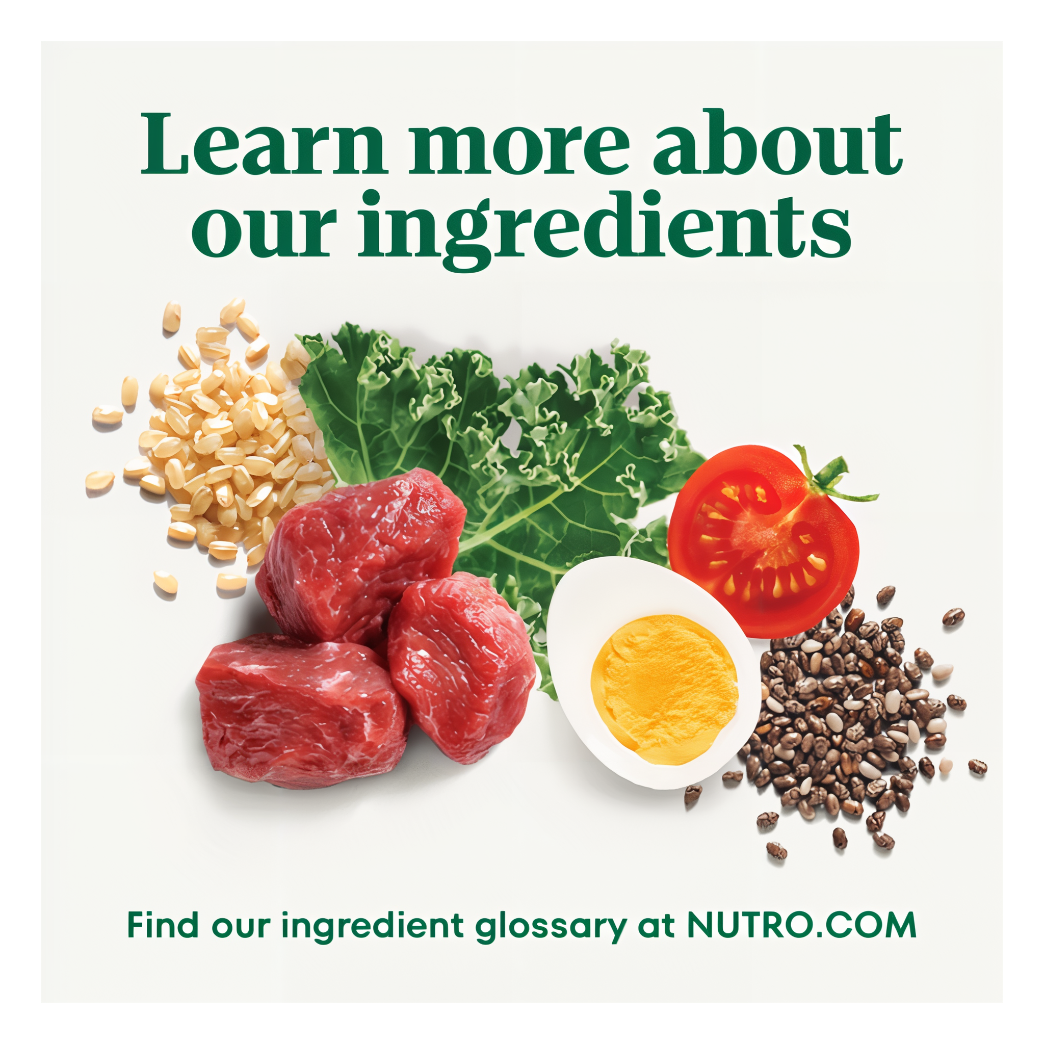 Learn more about our ingredients at the Nutro ingredient glossary