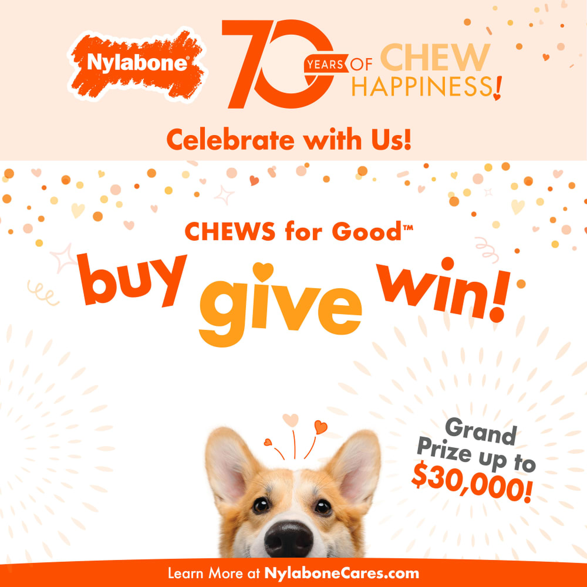 Nylabone Chews for Good buy give win program