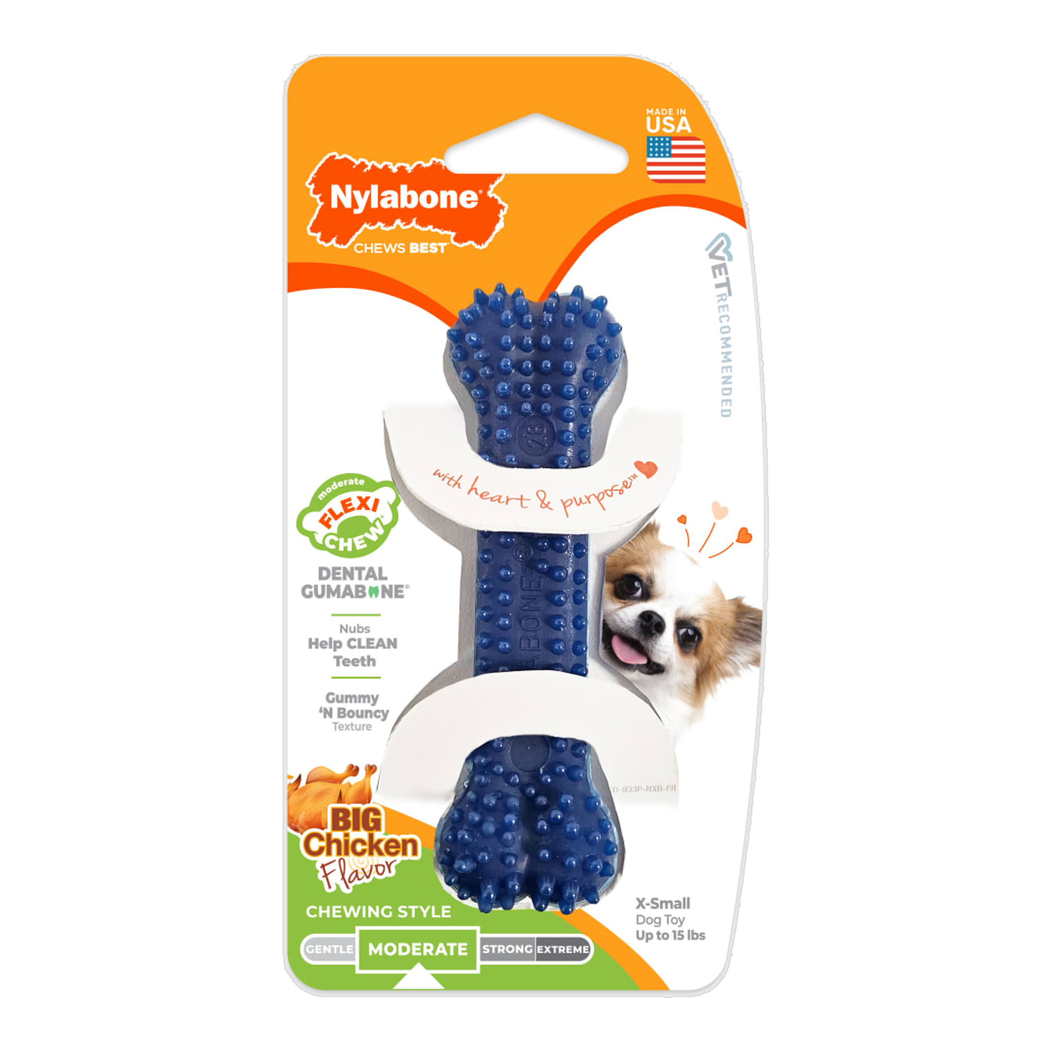Nylabone Flexi Chew Gumabone Textured Dental Bone Chicken X-Small in package, front