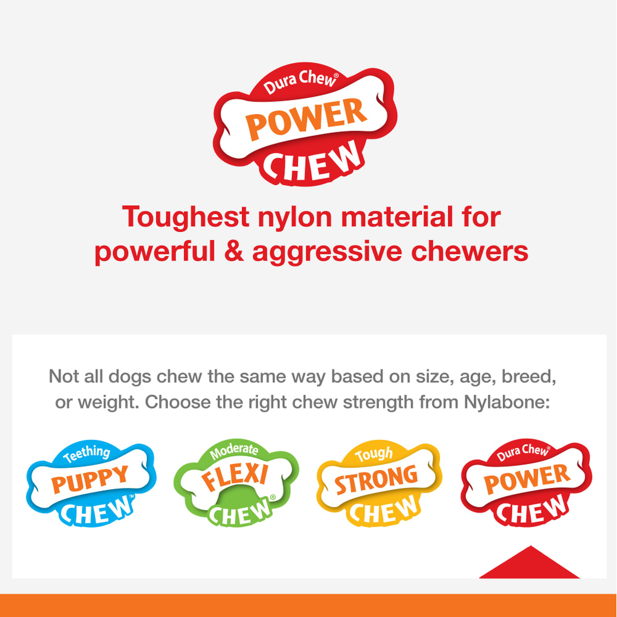 Nylabone chew strength chart for the Power Chew Cheese Bone