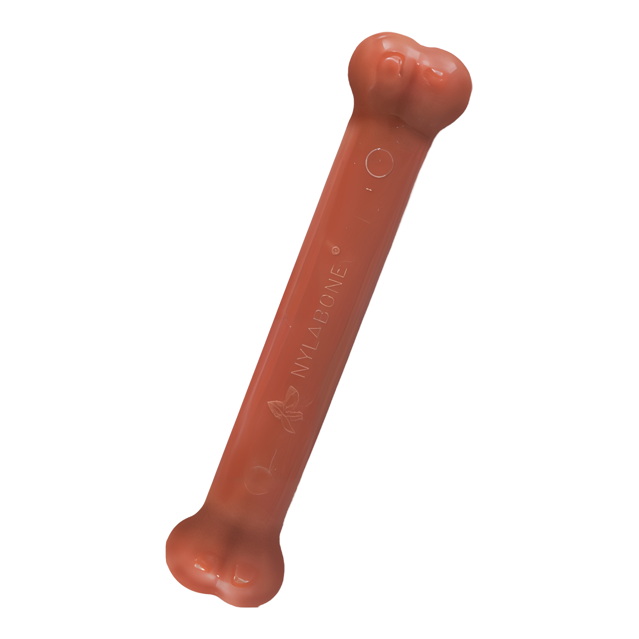 Nylabone Power Chew Original Bone out of package (Bacon, Large)