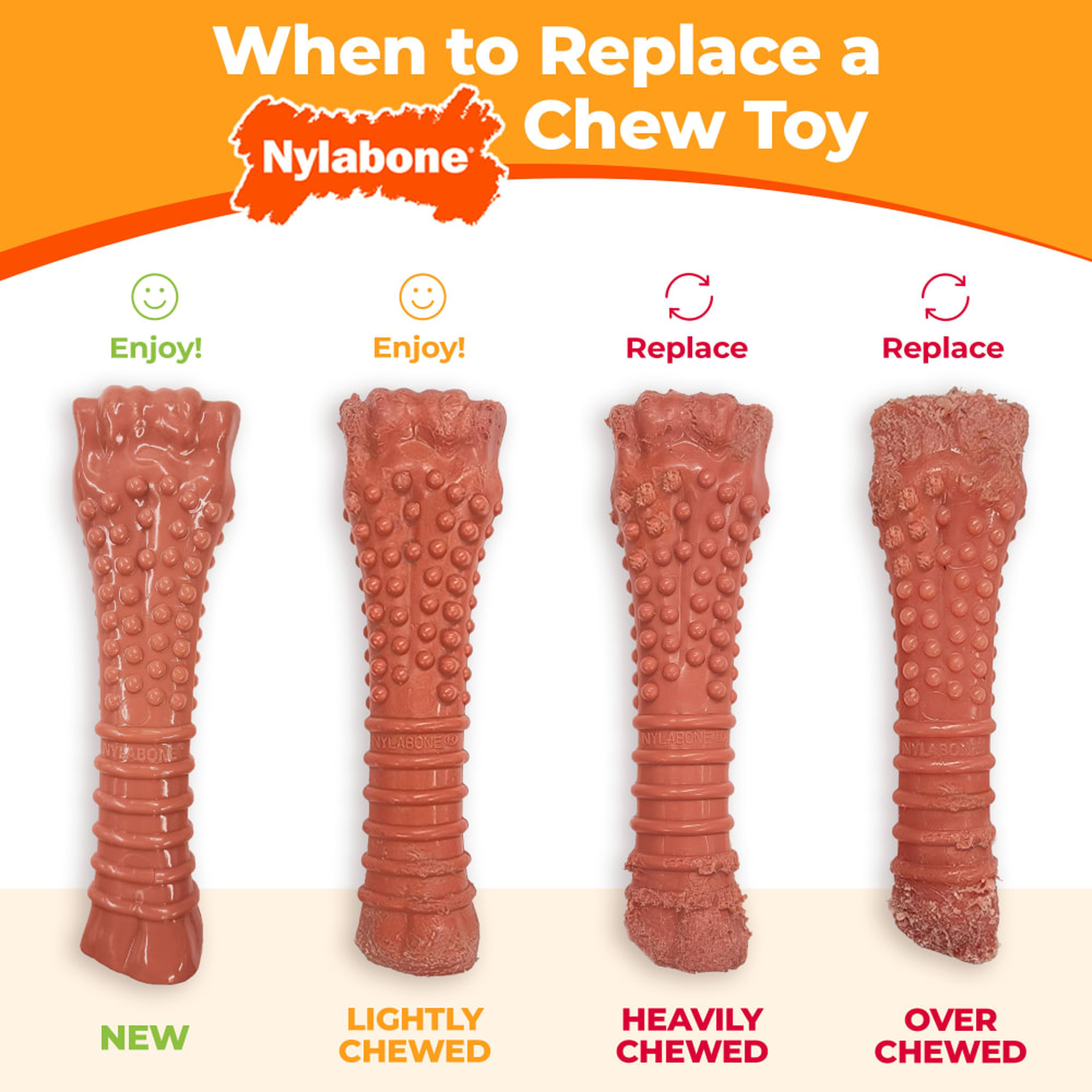 When to replace your Nylabone chew toy