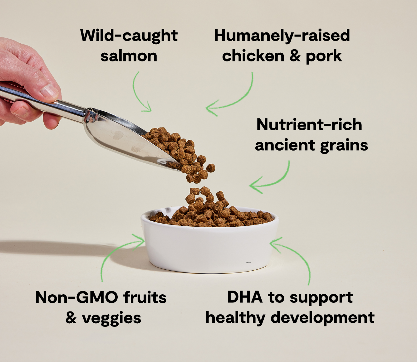Open Farm Puppy Chicken, Salmon & Ancient Grains Dog Kibble key benefits