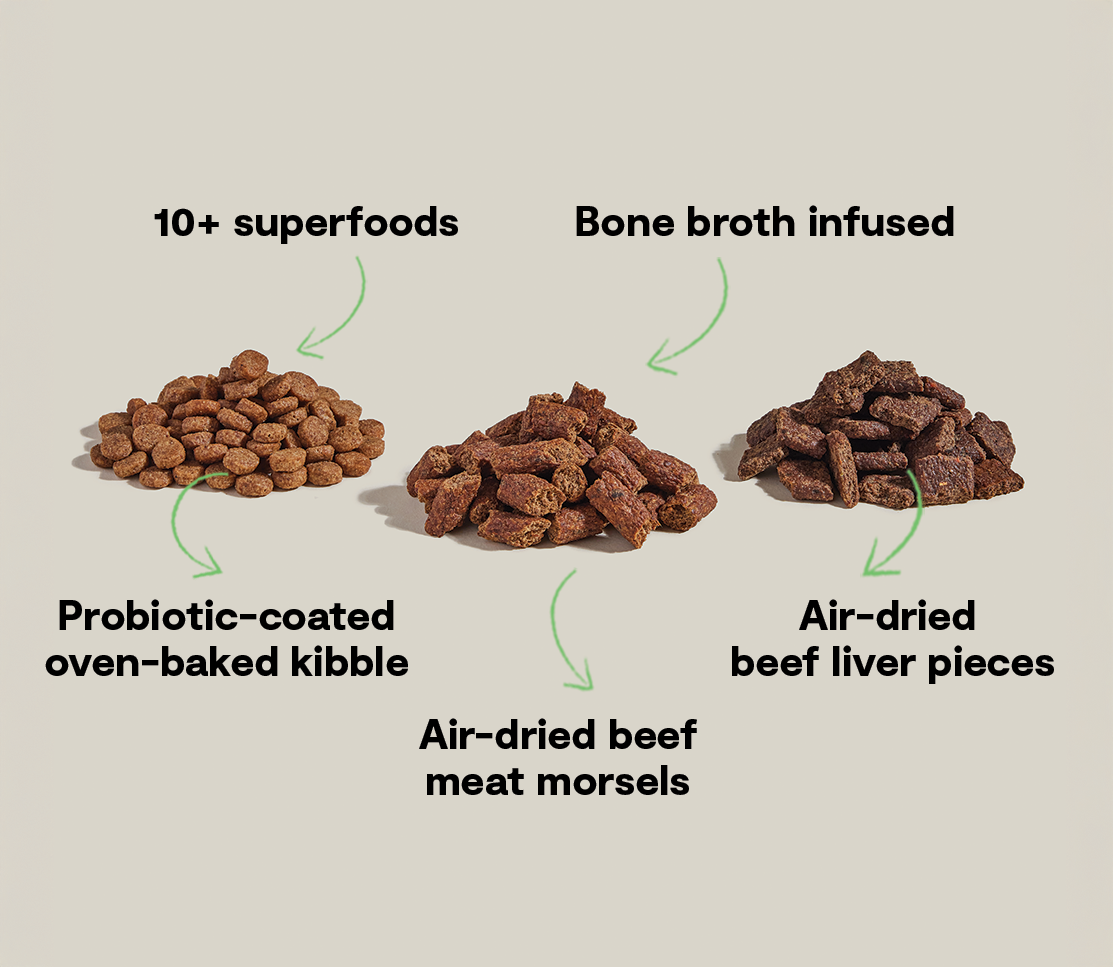 Open Farm Epic Blend Beef benefits: oven-baked kibble, air-dried morsels, liver, bone broth