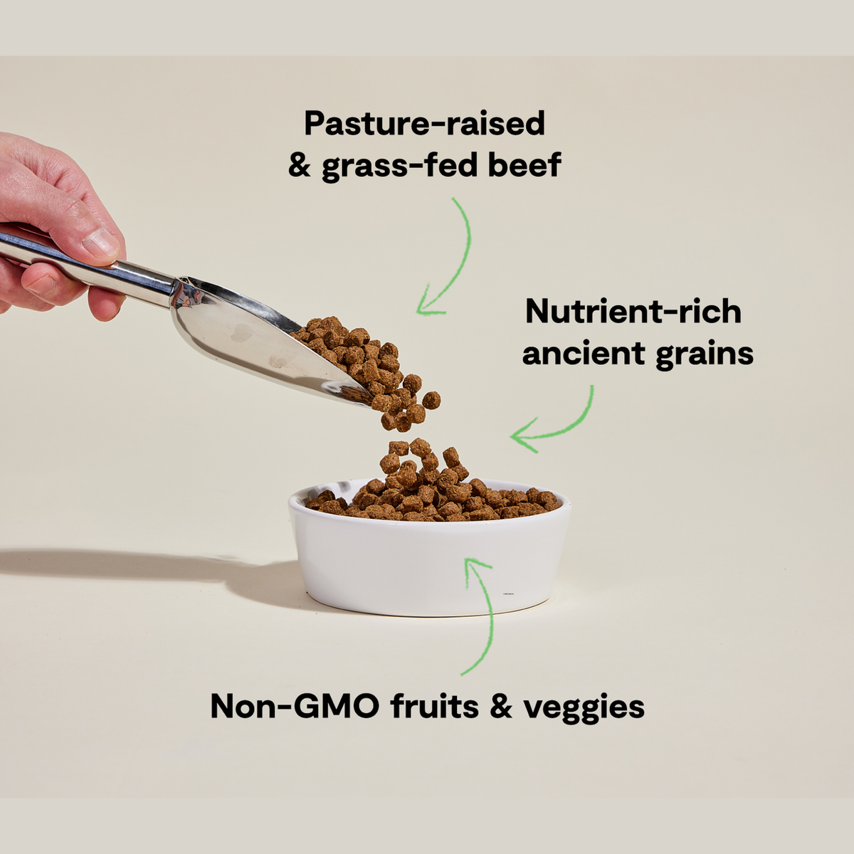 Open Farm Grass-Fed Beef & Ancient Grains Dog Kibble -- key benefits