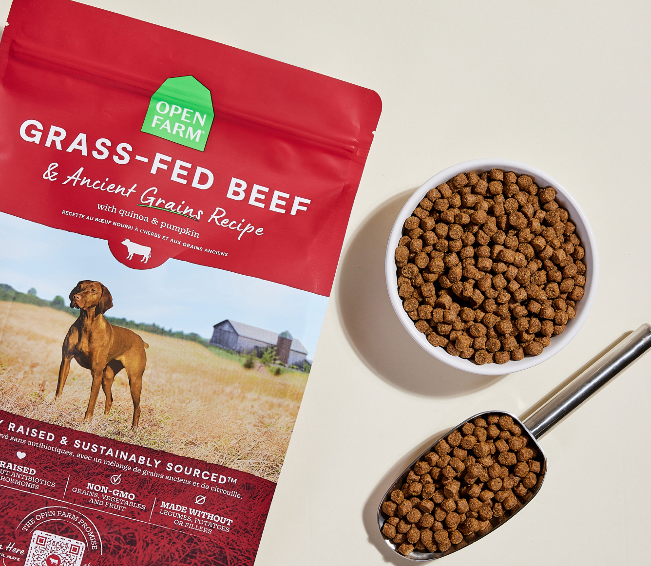 Open Farm Grass-Fed Beef & Ancient Grains Dog Kibble kibble in a bowl with a serving scoop
