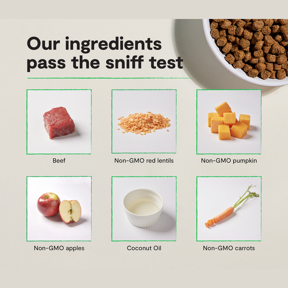 Open Farm Grass-Fed Beef Grain-Free Dog Kibble -- our ingredients infographic