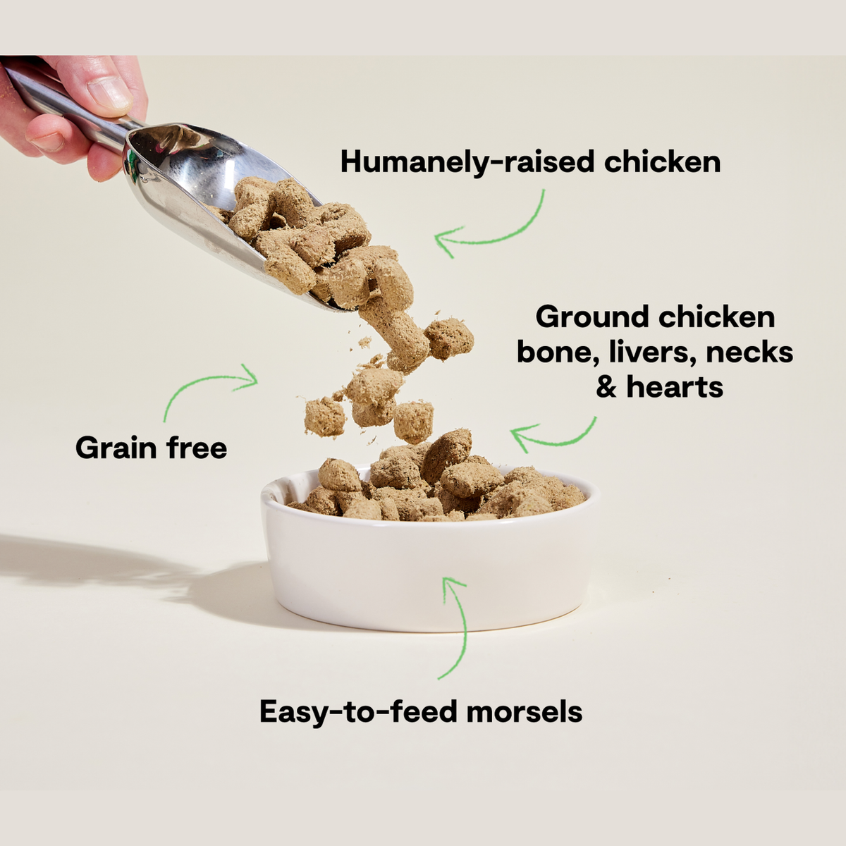 Open Farm Harvest Chicken Freeze Dried Raw Morsels for Dogs -- open farm harvest chicken freeze dried raw benefits - humanely raised chicken