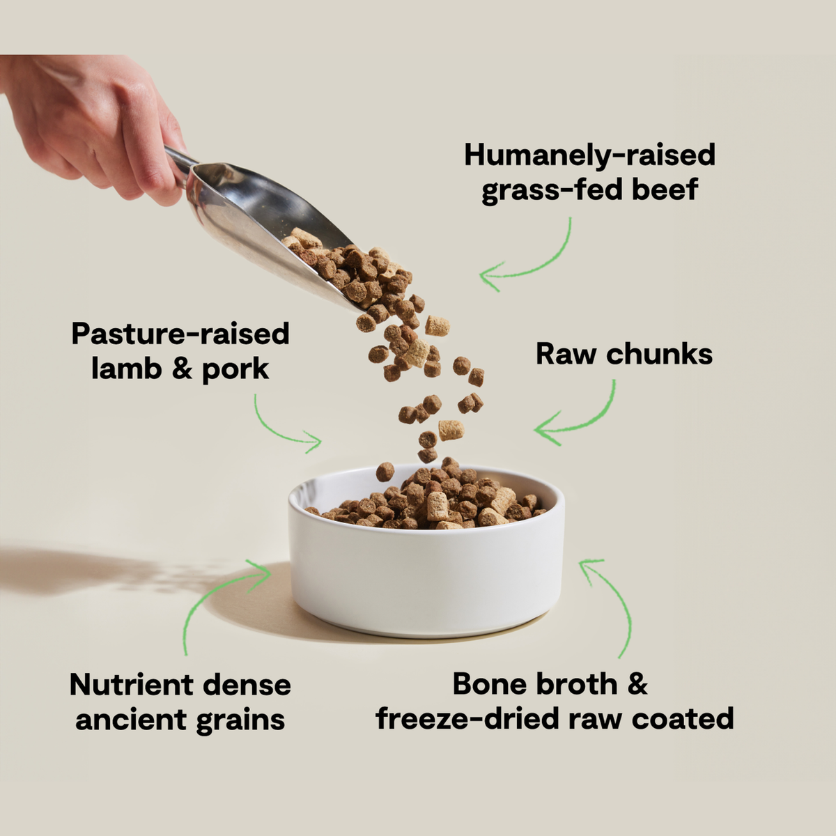 Open Farm RawMix Front Range Ancient Grains Dog Kibble -- recipe benefits infographic