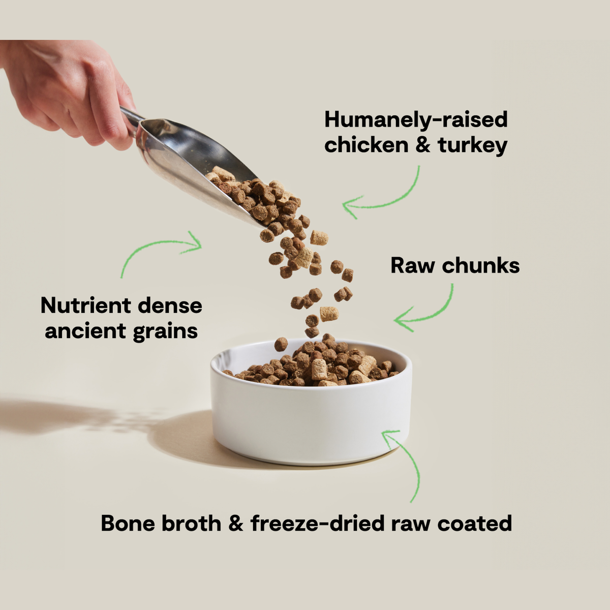 Open Farm RawMix Open Prairie Ancient Grains Dog Kibble -- recipe benefits infographic