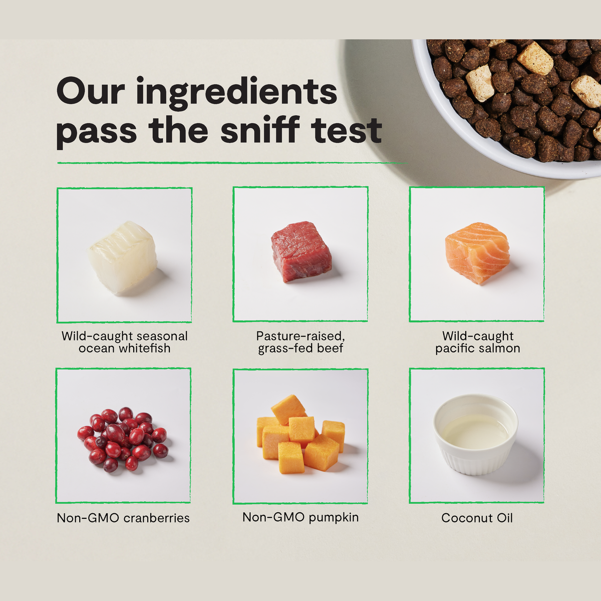 Open Farm RawMix Tide & Terrain Grain-Free Dog Kibble -- our ingredients infographic