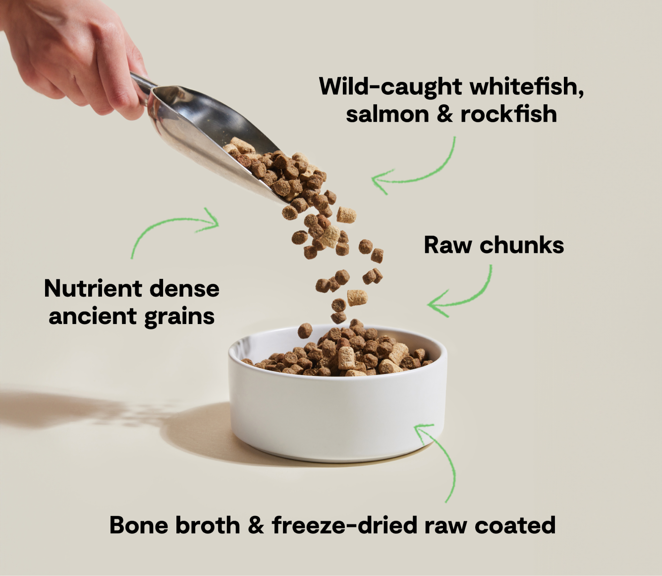 Open Farm RawMix Wild Ocean Ancient Grains Dog Kibble recipe benefits infographic