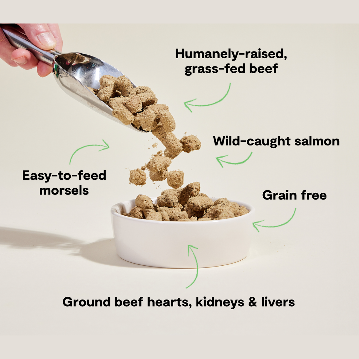 Open Farm Surf & Turf Freeze Dried Raw Morsels for Dogs -- open farm surf and turf freeze dried raw benefits - humanely raised grass-fed beef