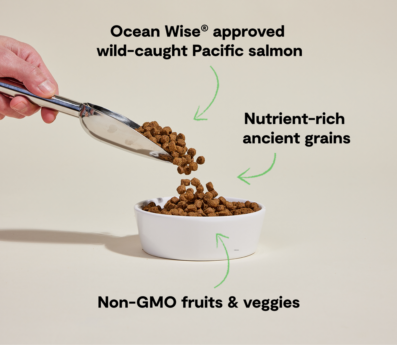 Open Farm Wild-Caught Salmon & Ancient Grains Dog Kibble key benefits