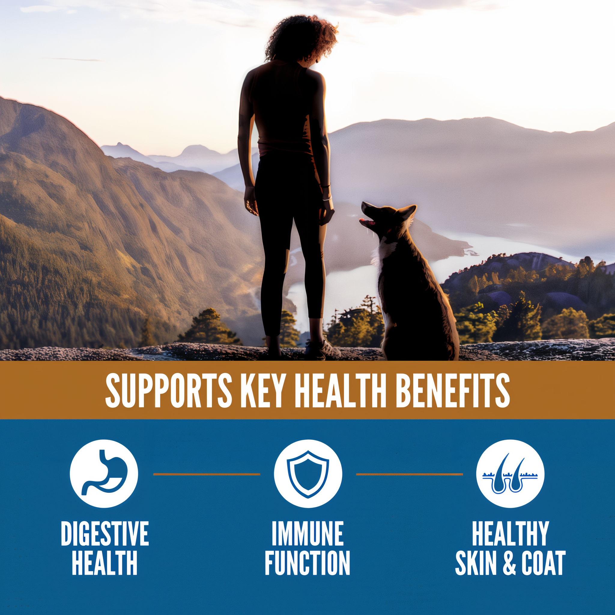 ORIJEN Amazing Grains Original supports digestive health, immune function and healthy skin and coat