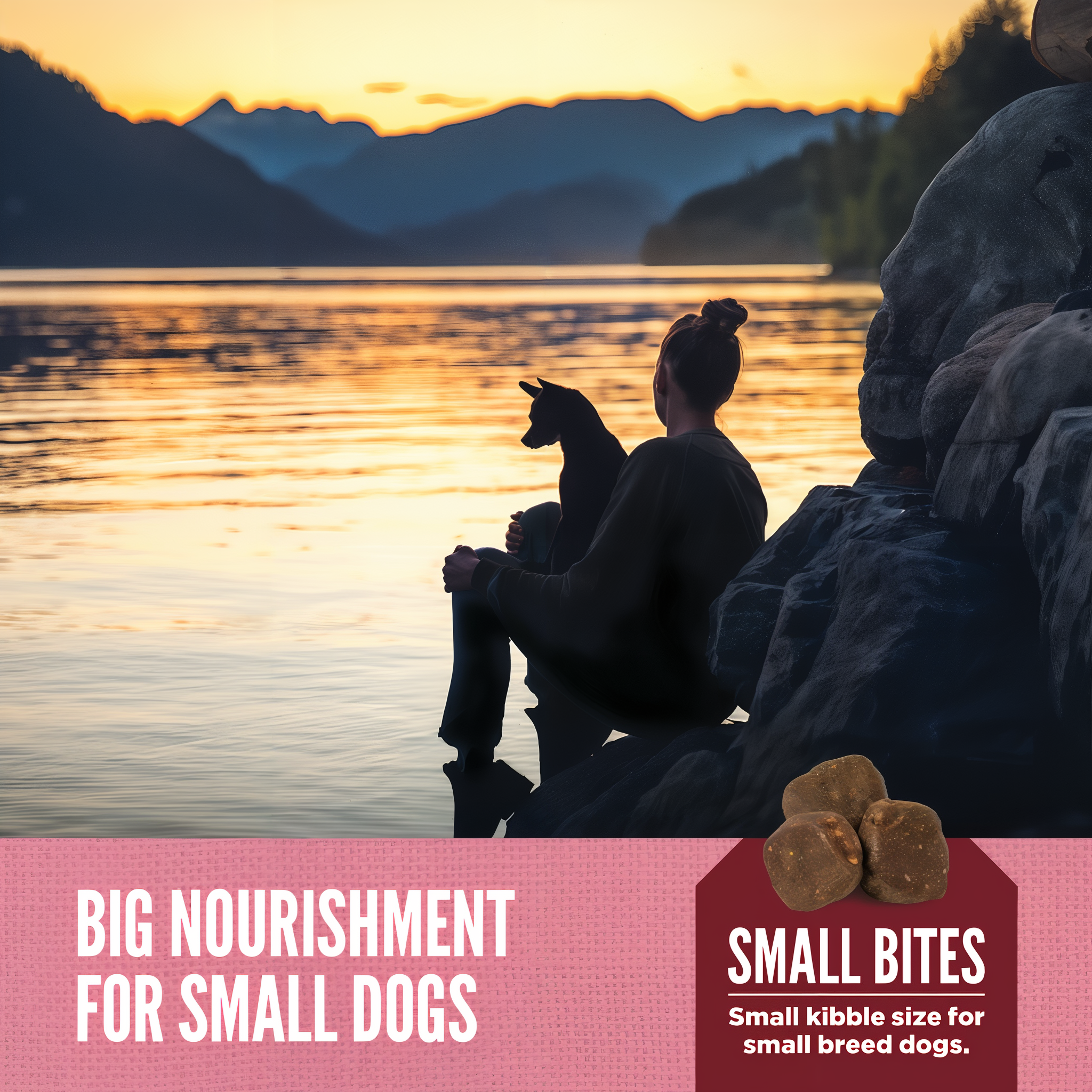 ORIJEN Amazing Grains Small Breed small-bite kibble sized for small breed dogs