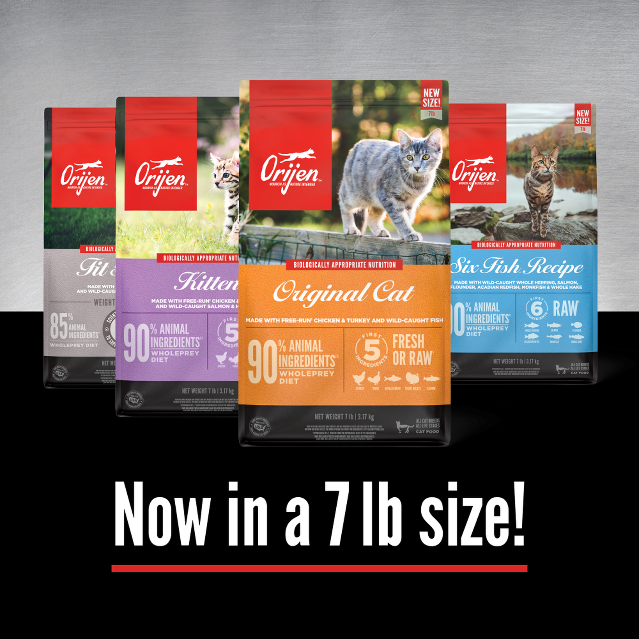 ORIJEN dry cat food WholePrey recipe lineup with Fit & Trim, Kitten, Original Cat, and Six Fish bags standing side by side