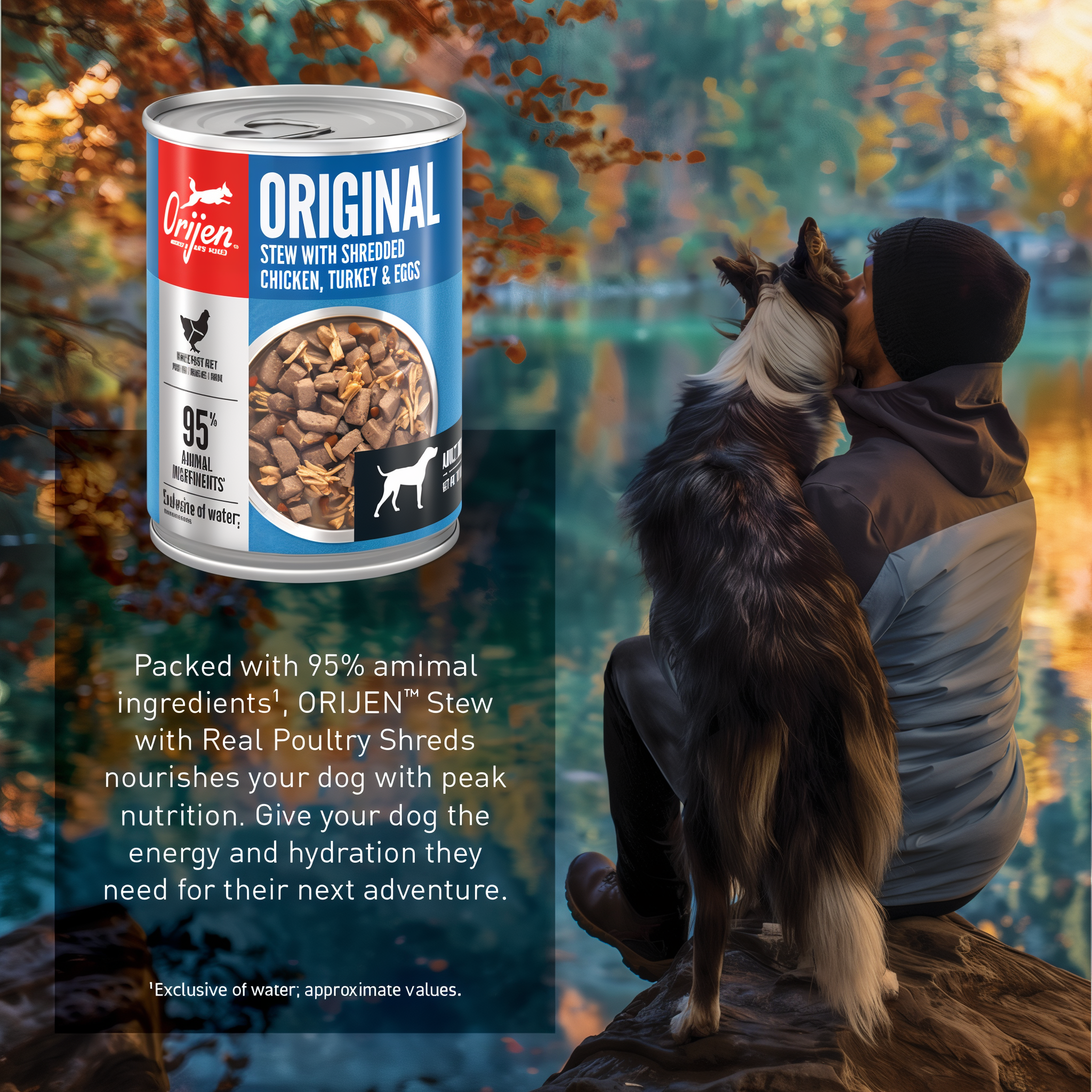 ORIJEN Original Stew can with shredded chicken, turkey and eggs — packed with 95 percent animal ingredients for energy and hydration, shown with a dog and owner by a lake