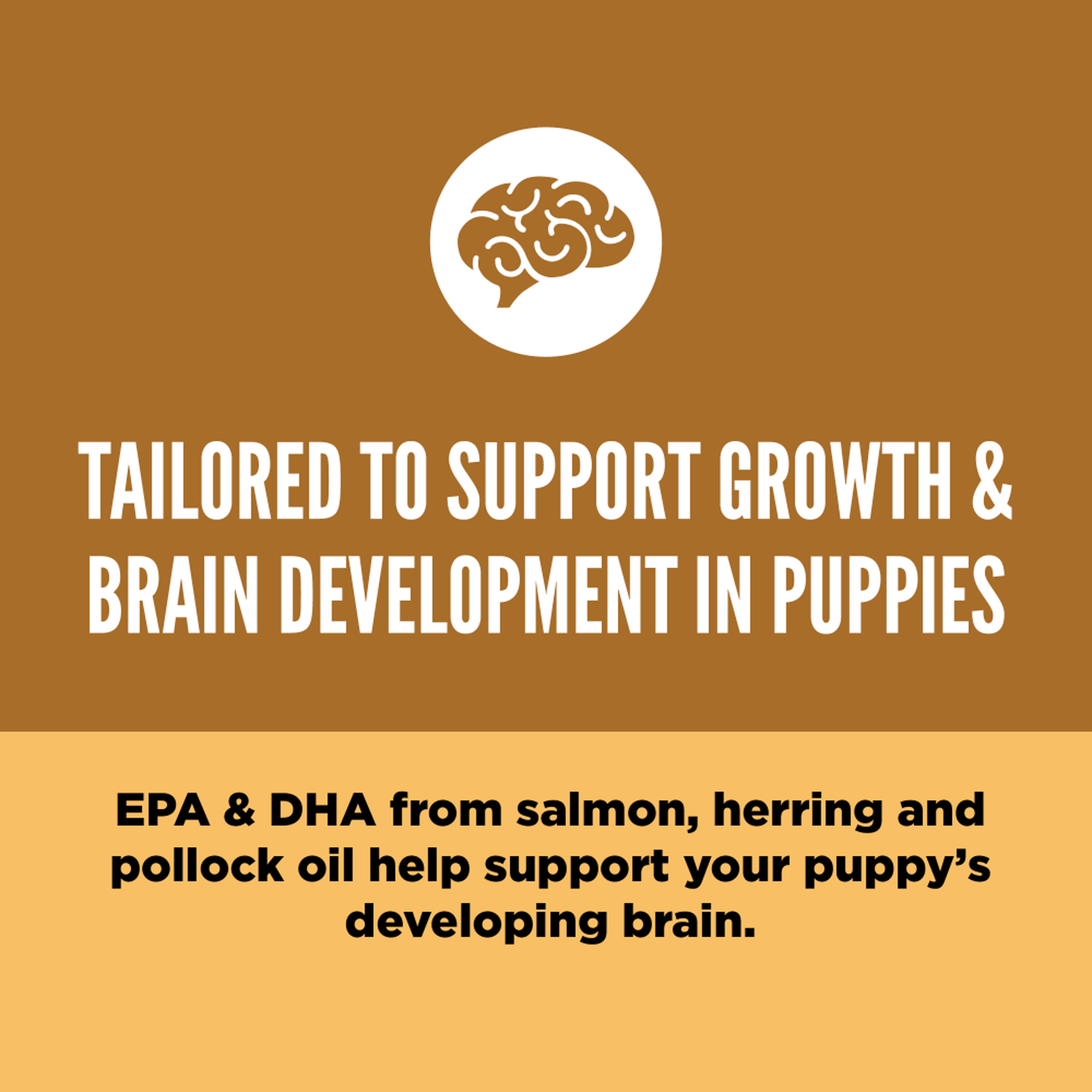 ORIJEN Puppy dry dog food tailored to support growth and brain development, with EPA and DHA from salmon, herring and pollock oil for a puppy's developing brain