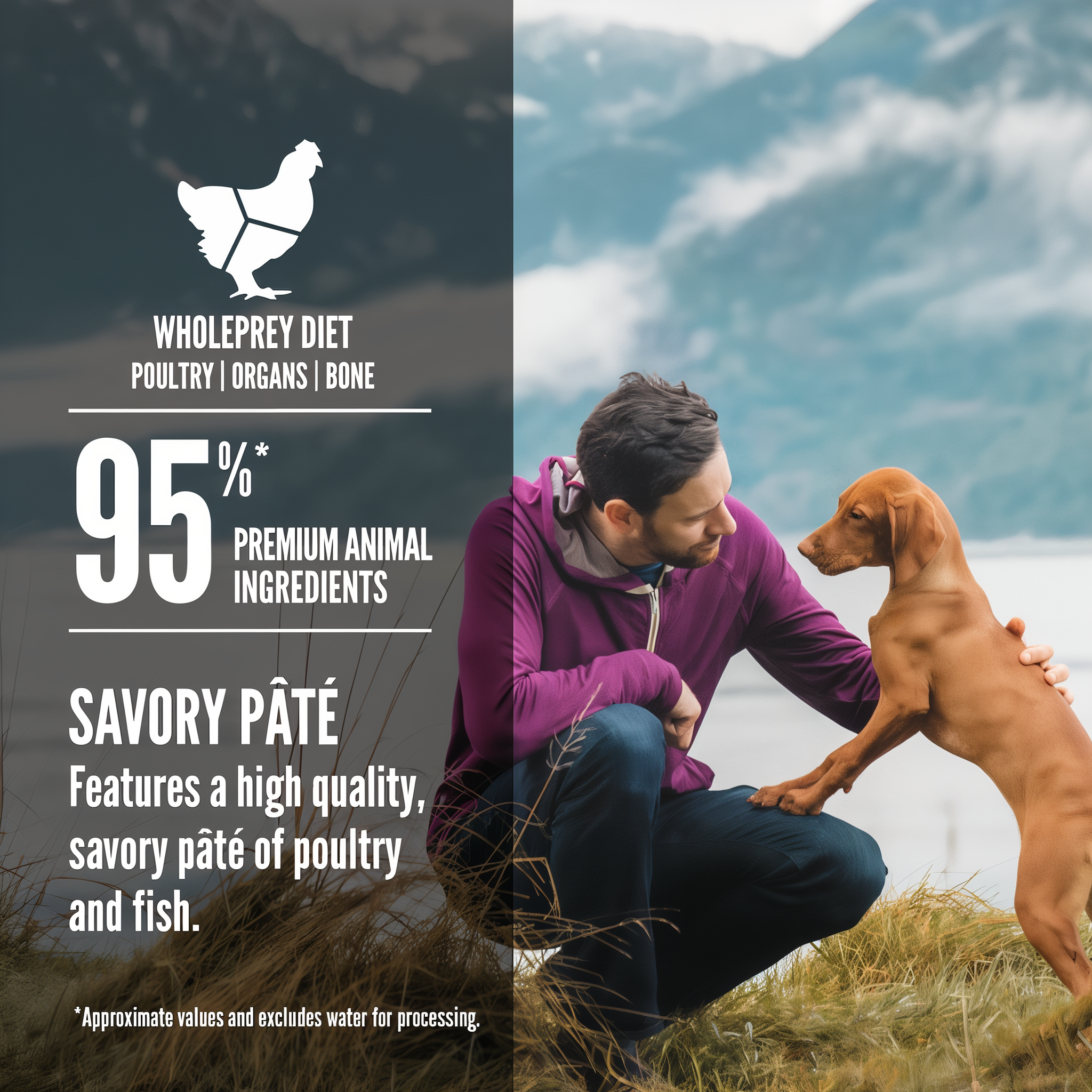 ORIJEN WholePrey diet highlights: poultry, organs, and bone with 95 percent premium animal ingredients in a savory pâté of poultry and fish, shown with a puppy and owner outdoors