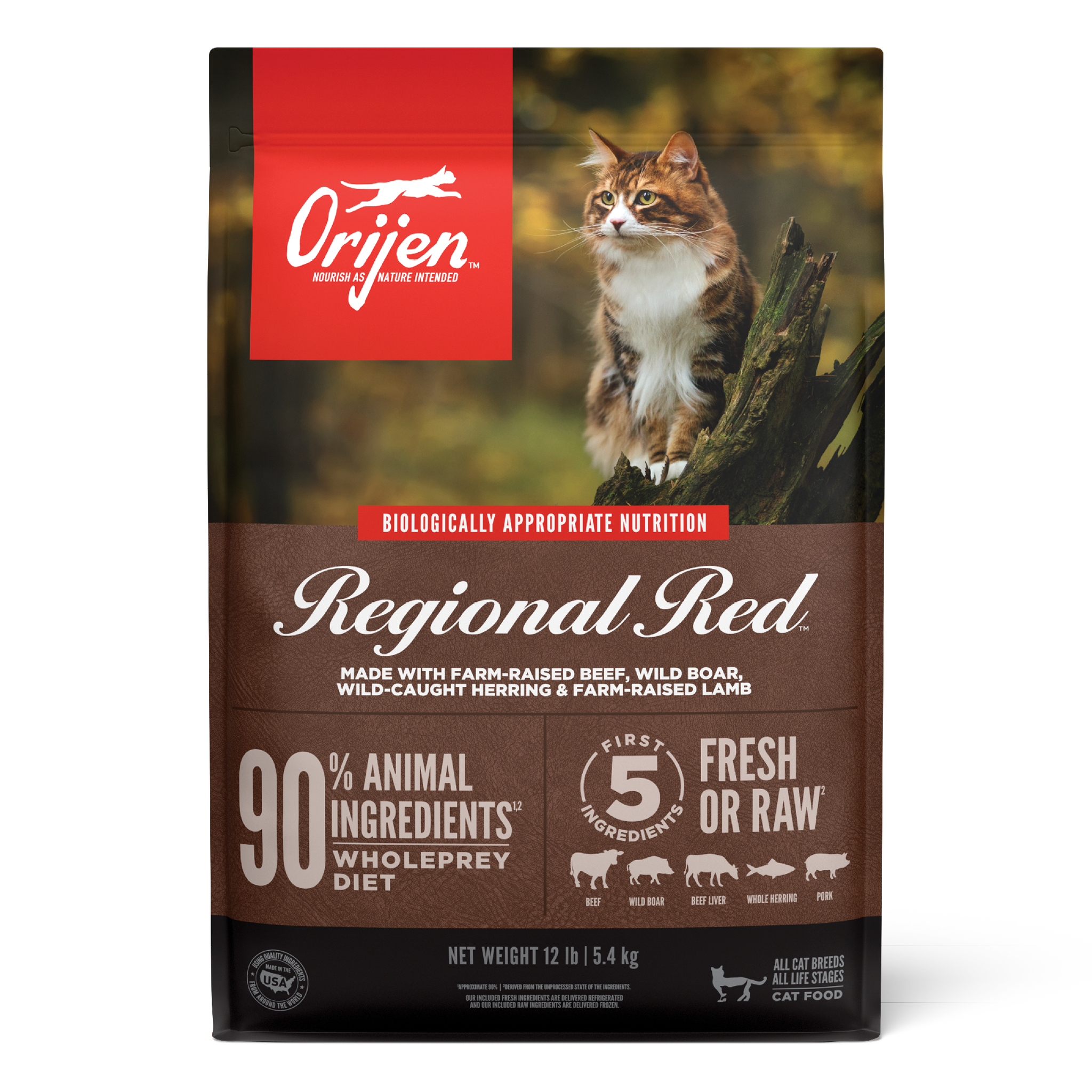 ORIJEN Regional Red dry cat food, front of the bag showing a tabby cat in an autumn forest with Biologically Appropriate Nutrition, 90 percent animal ingredients, WholePrey diet, and first 5 fresh or raw ingredients callouts