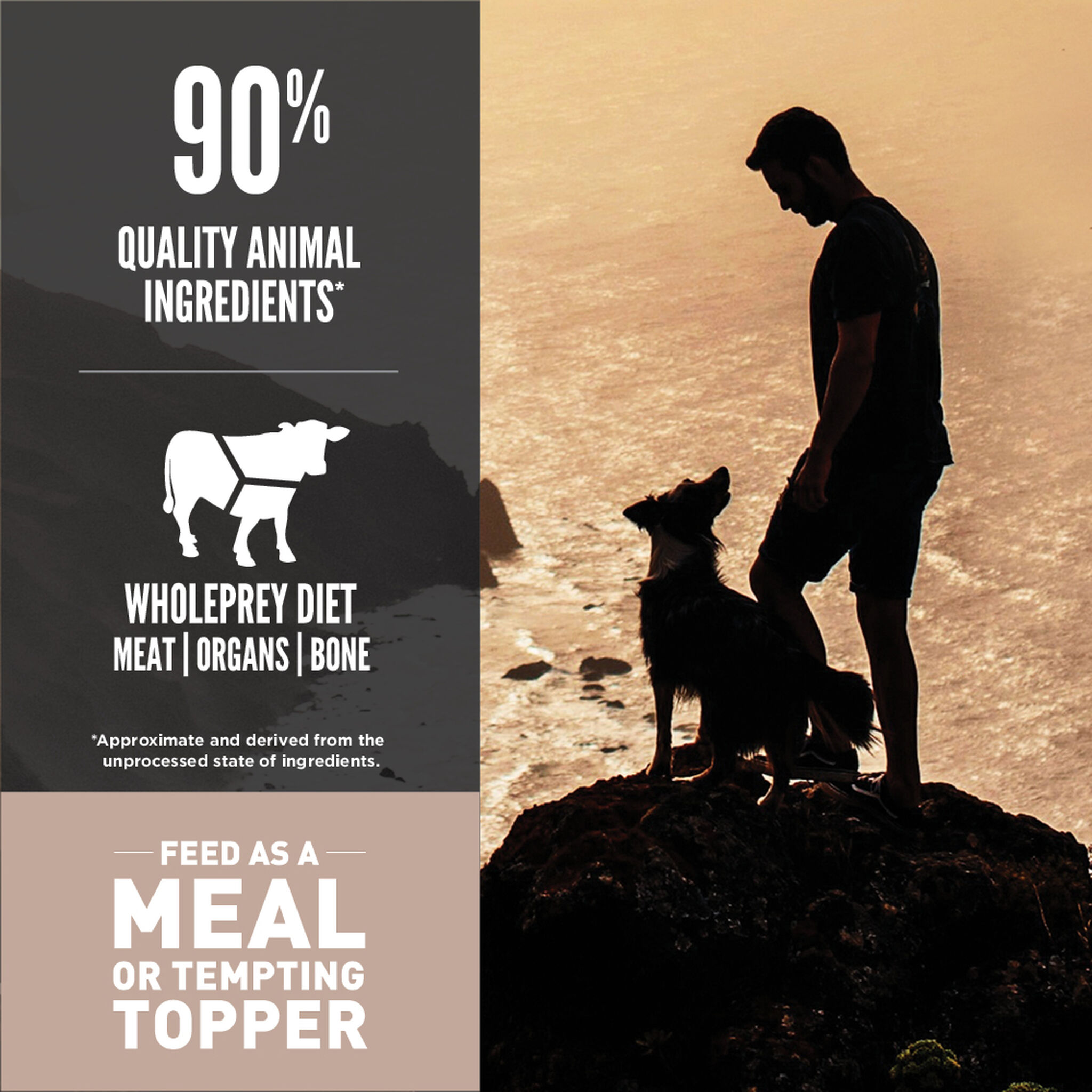 ORIJEN Regional Red Freeze-Dried Medallions made with 90 percent quality animal ingredients and a WholePrey diet of meat, organs and bone, to feed as a meal or tempting topper, with a person and dog on a coastal cliff at sunset