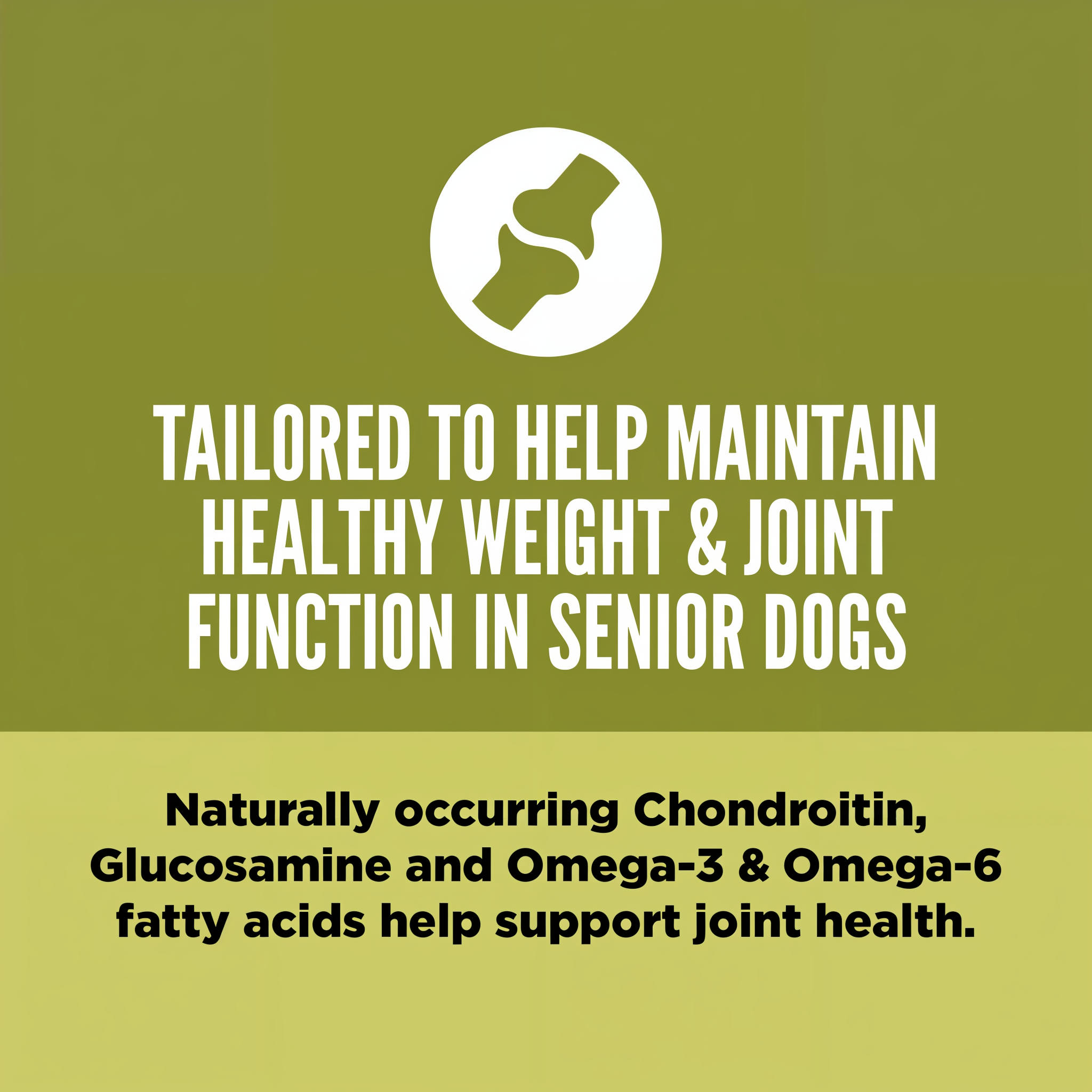 Orijen Senior dog food tailored to help maintain healthy weight and joint function, with naturally occurring chondroitin, glucosamine and omega-3 and omega-6 fatty acids