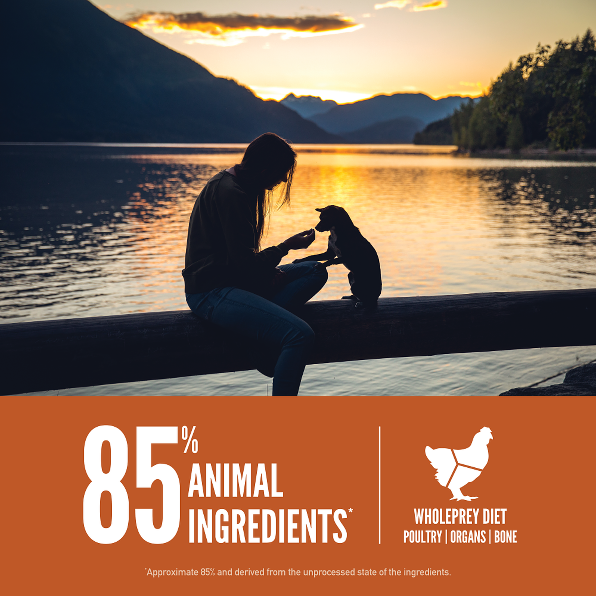 ORIJEN Small Breed Puppy made with 85 percent animal ingredients in a WholePrey diet of poultry, organs and bone, shown with a woman and small dog beside a lake at sunset
