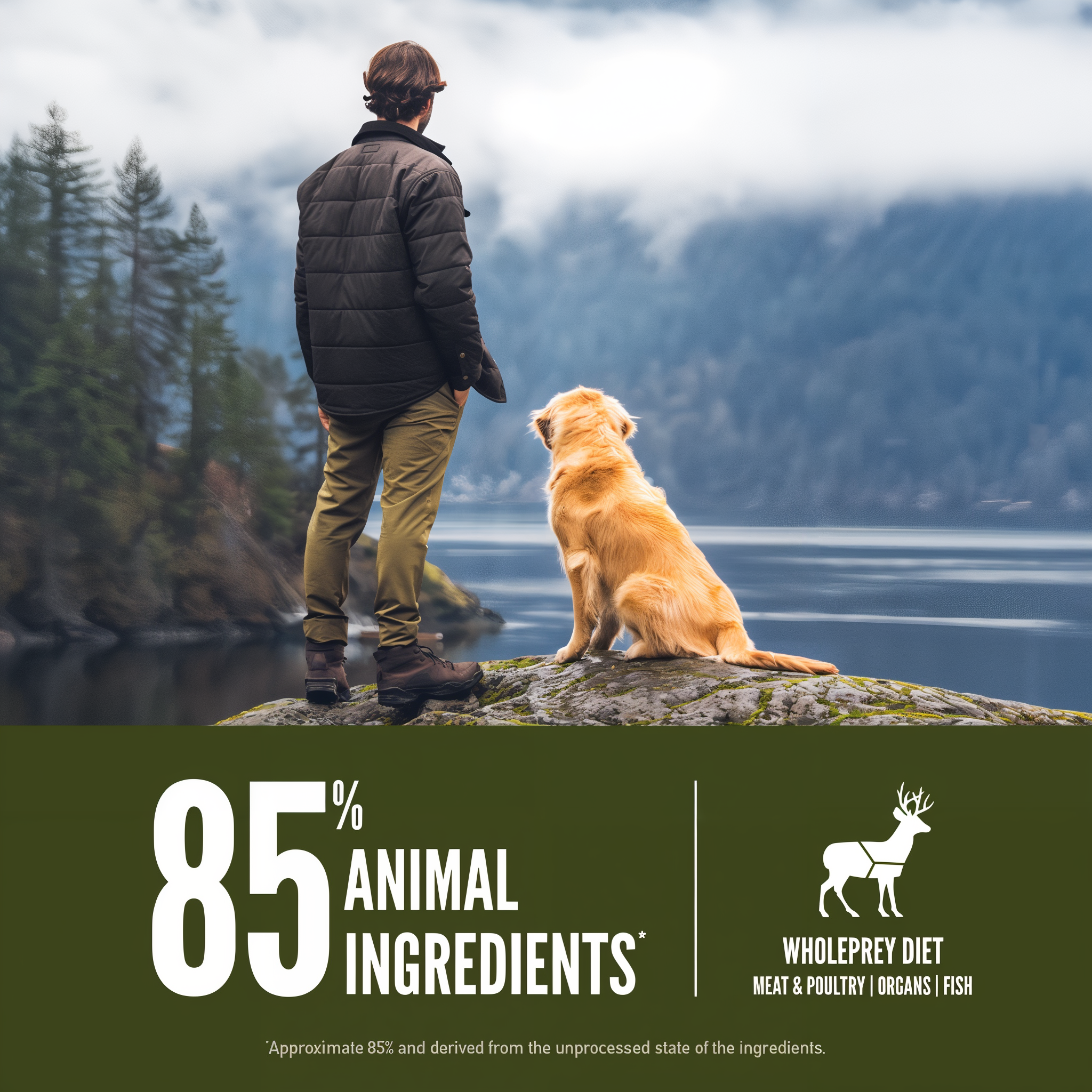 Man and golden retriever looking out over a mountain lake beside ORIJEN Tundra 85 percent animal ingredients WholePrey diet of meat, poultry, organs and fish