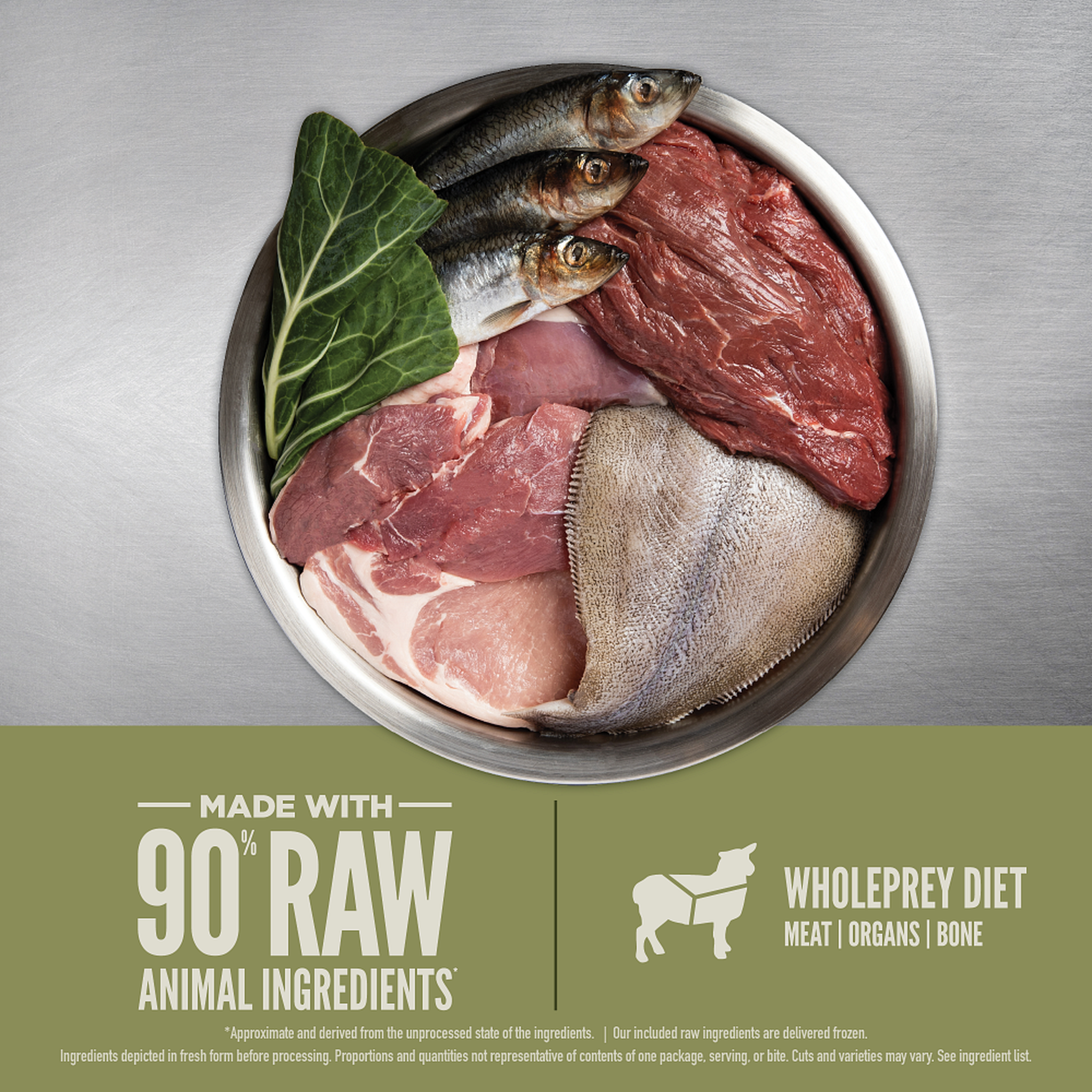Raw WholePrey ingredients for ORIJEN Tundra Epic Bites in a stainless bowl: whole herring, venison, wild boar, flounder and a collard green leaf