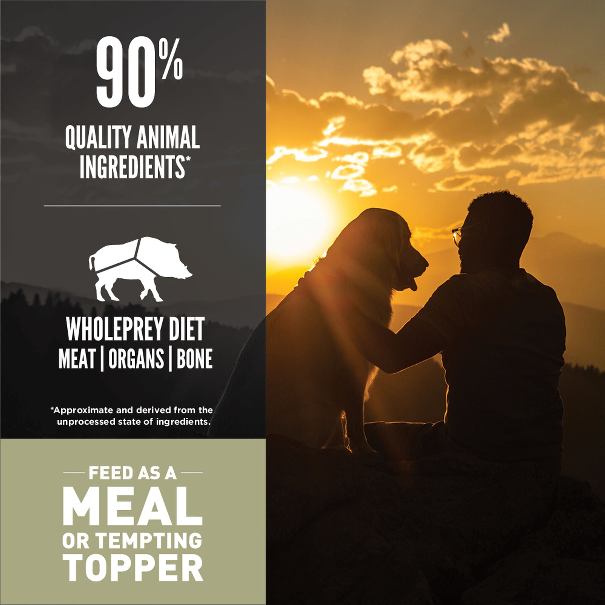 ORIJEN Tundra freeze-dried dog food graphic highlighting 90 percent quality animal ingredients, a WholePrey diet of meat, organs and bone, fed as a meal or tempting topper