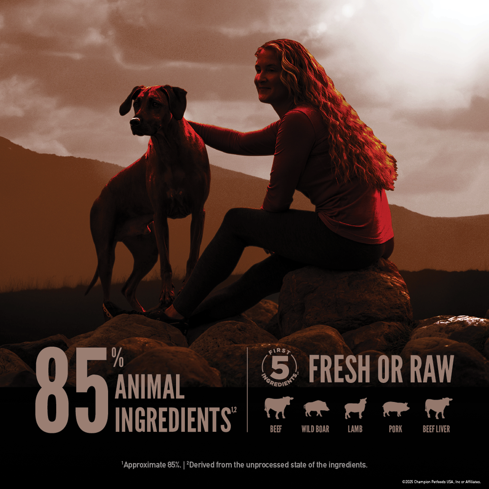 Woman and her dog resting on rocky ground at sunset beside 85 percent animal ingredients and first 5 fresh or raw callouts for beef, wild boar, lamb, pork and beef liver