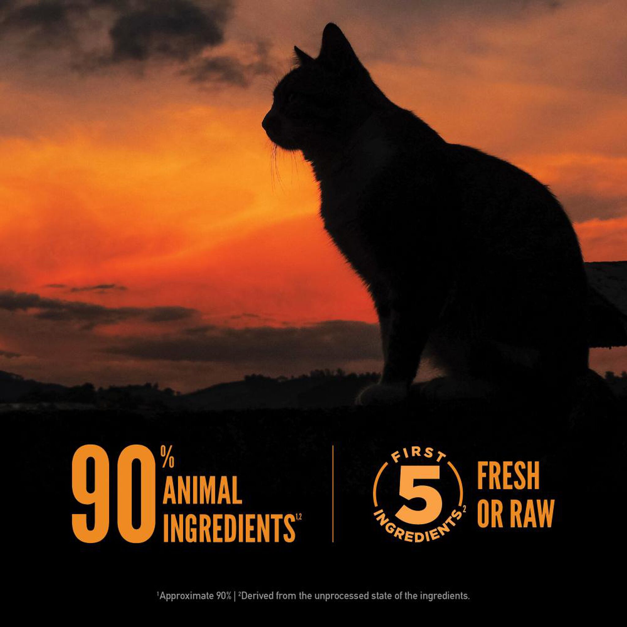 Orijen Wild Reserve graphic with a cat at sunset noting 90% animal ingredients and first five fresh or raw ingredients